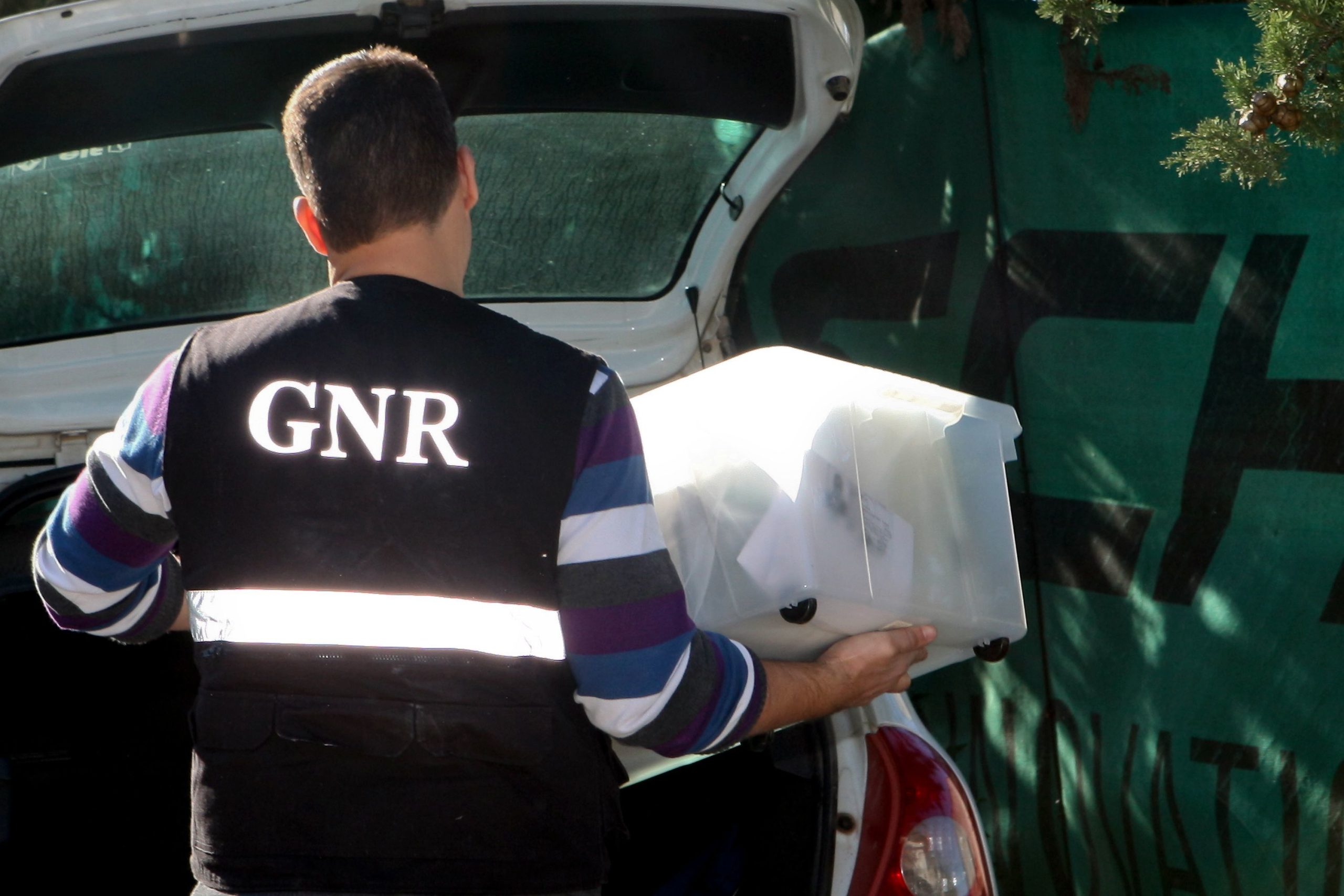 GNR de Pombal apreende 45 aves de espécies cinegéticas protegidas e autóctones