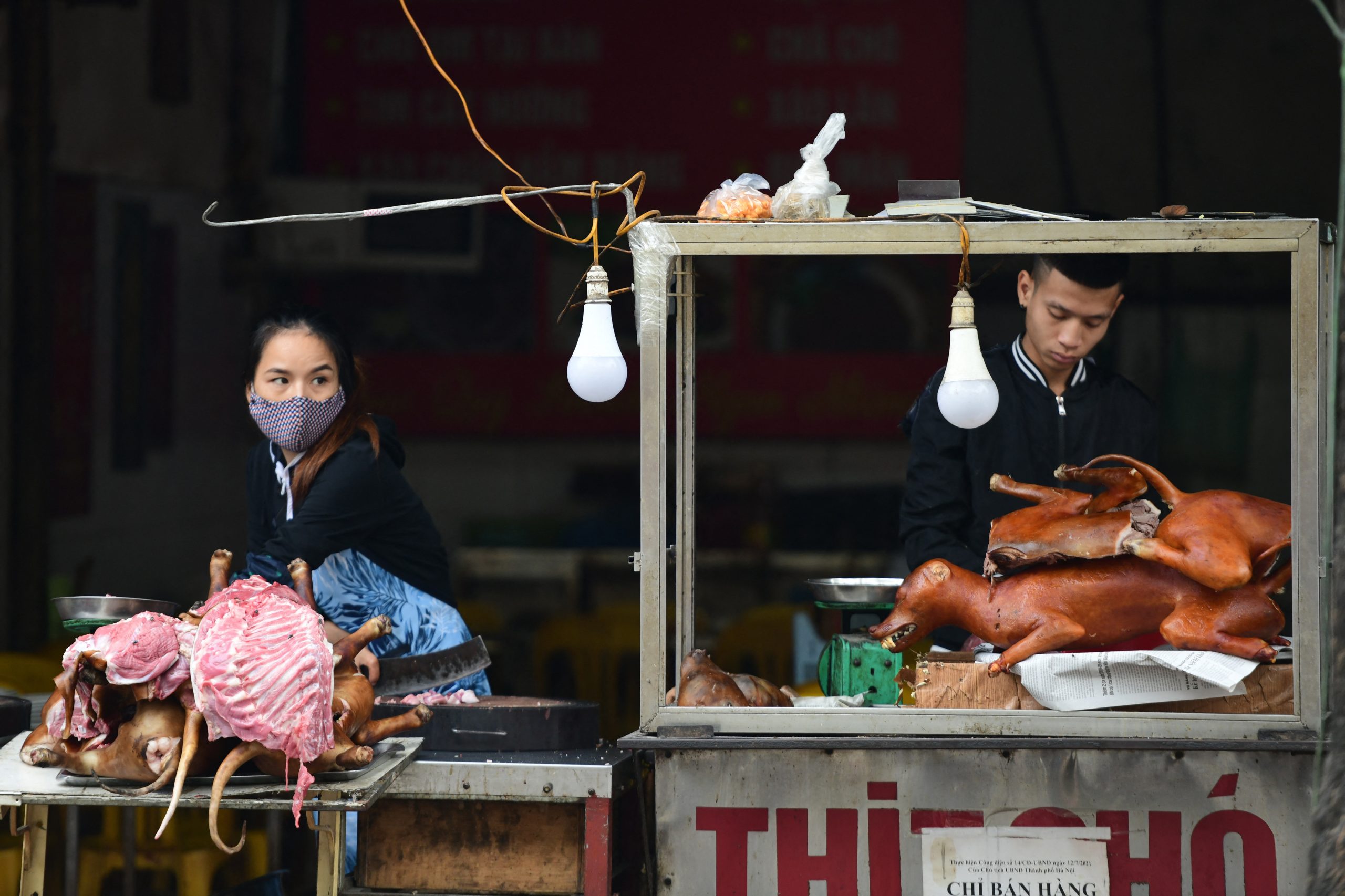 Cidade vietnamita quer proibir venda de carne de cão e gato