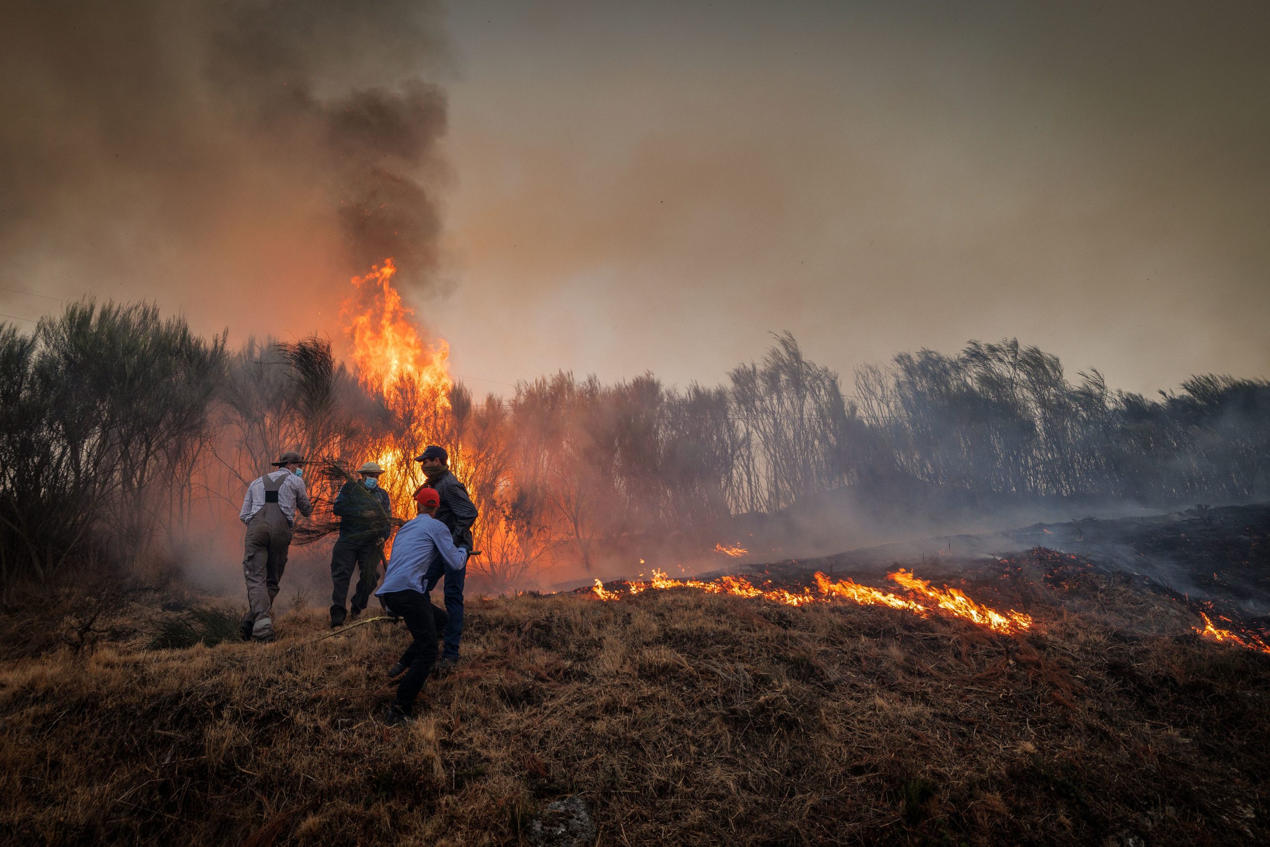 Cerca de 6.000 hectares de área ardida em Vila Real