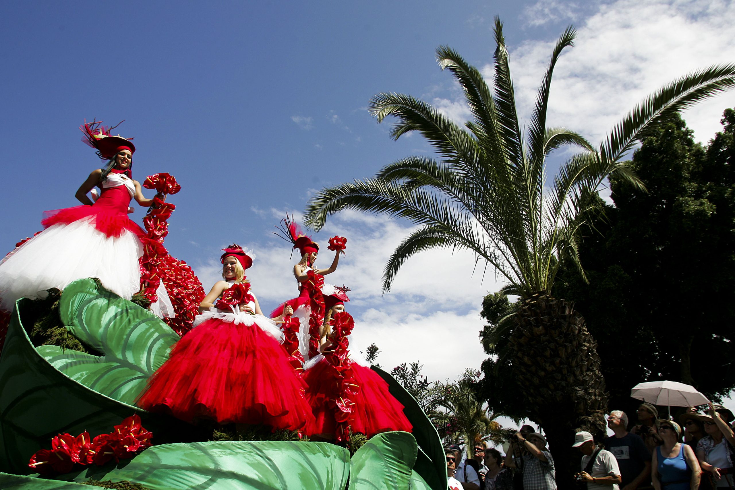Festa da Flor na Madeira vai decorrer em outubro e volta a ter cortejo alegórico