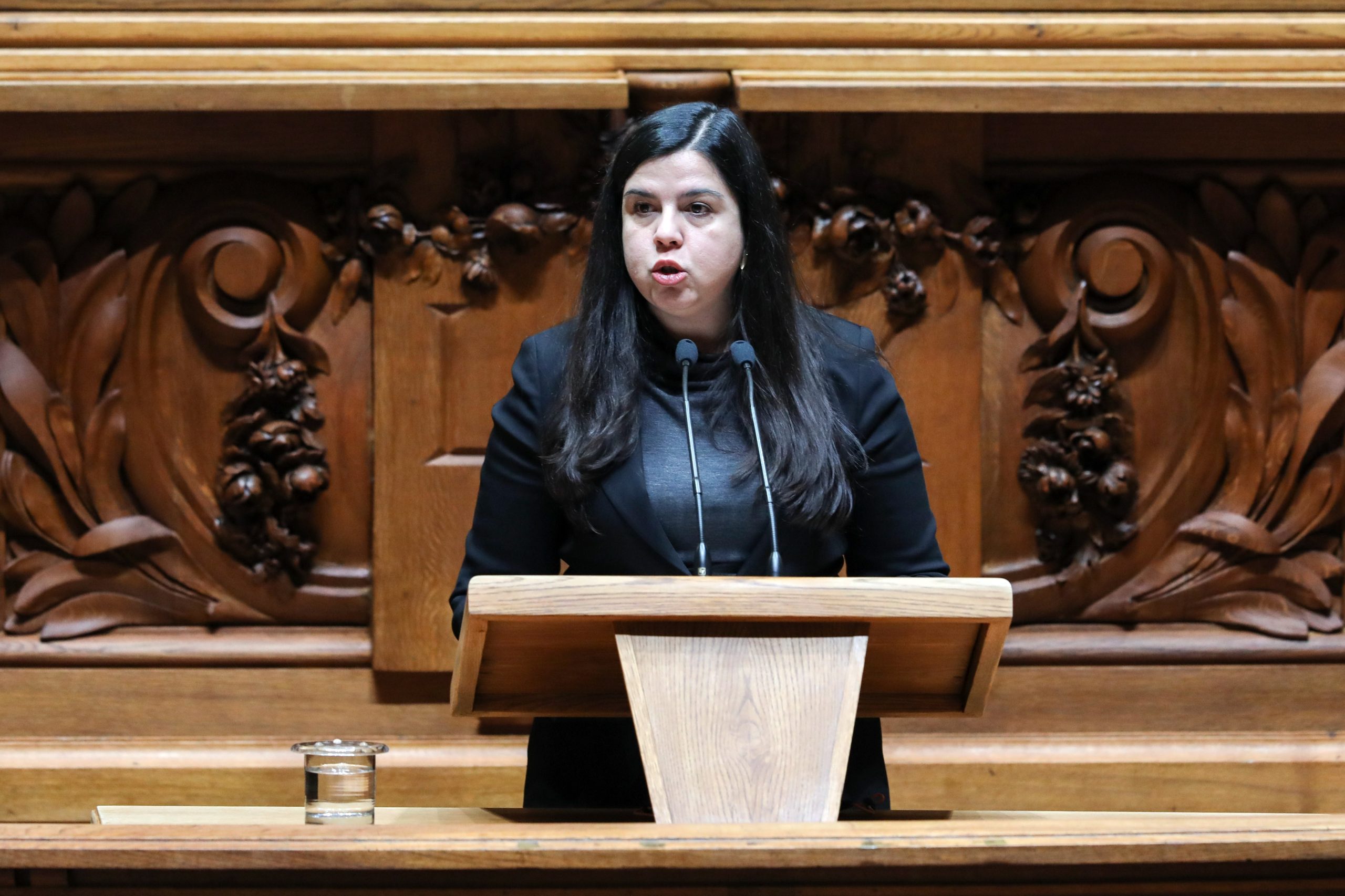 Autárquicas. PAN vai acompanhar iniciativas que reforcem participação de independentes
