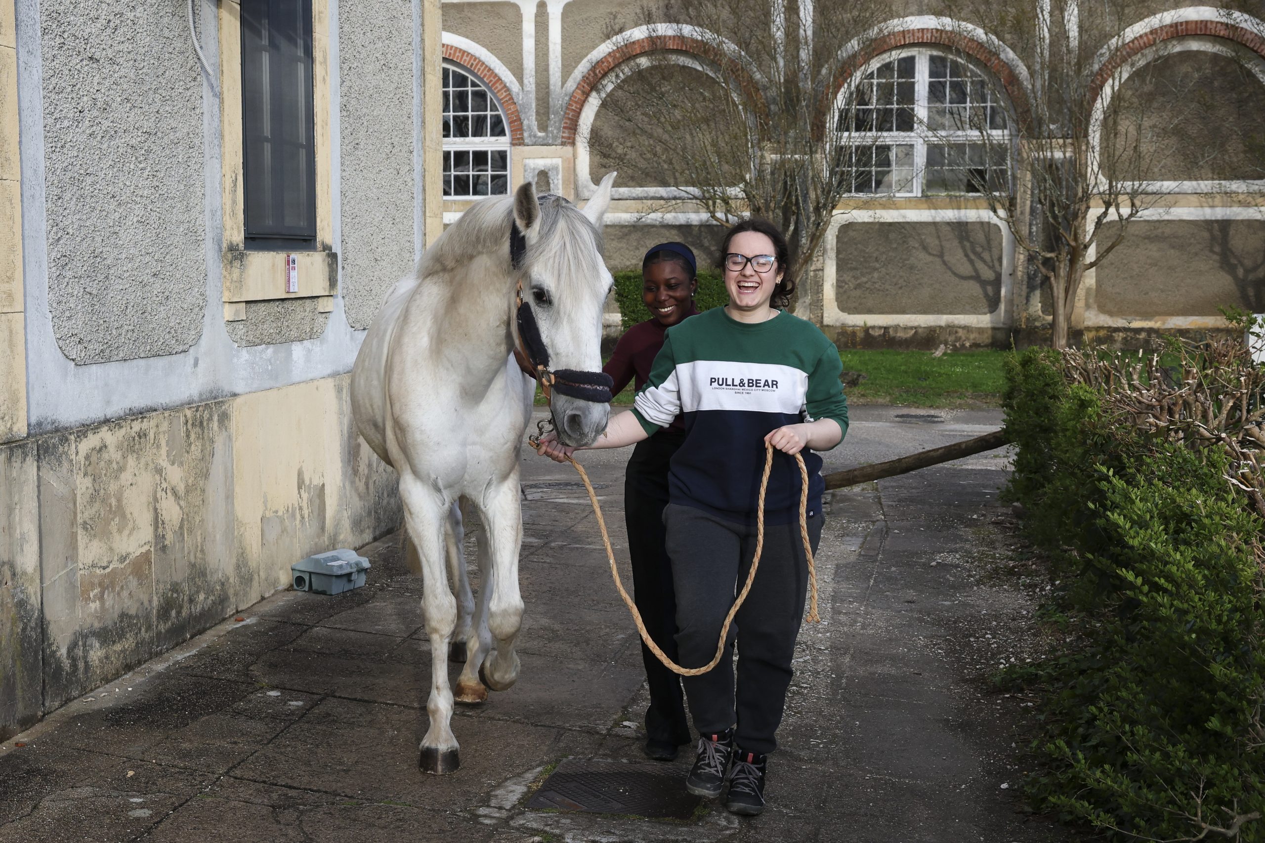 Estudantes stressados? No Politécnico de Coimbra os cavalos são a solução