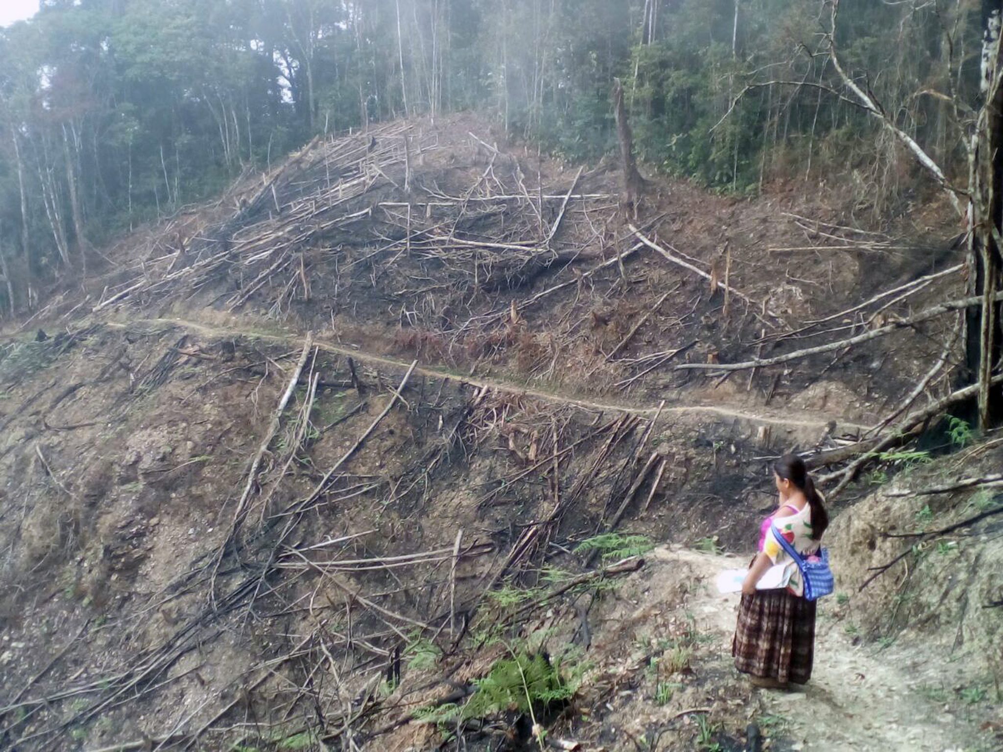 Incêndios obrigam Guatemala a declarar “estado de calamidade”