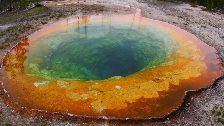 Piscina natural "Morning Glory"
