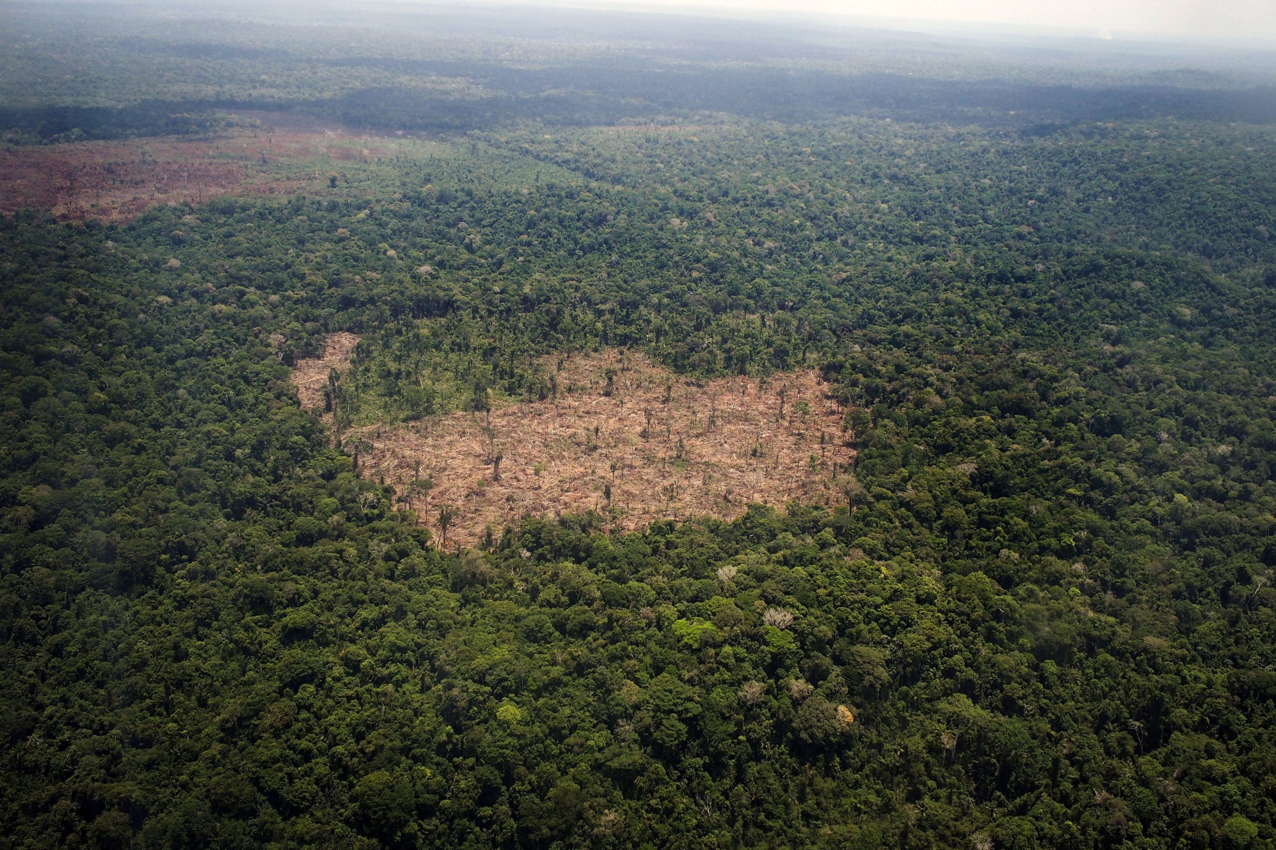 Amazónia. O “pulmão do planeta” é agora um emissor de gases de efeito de estufa