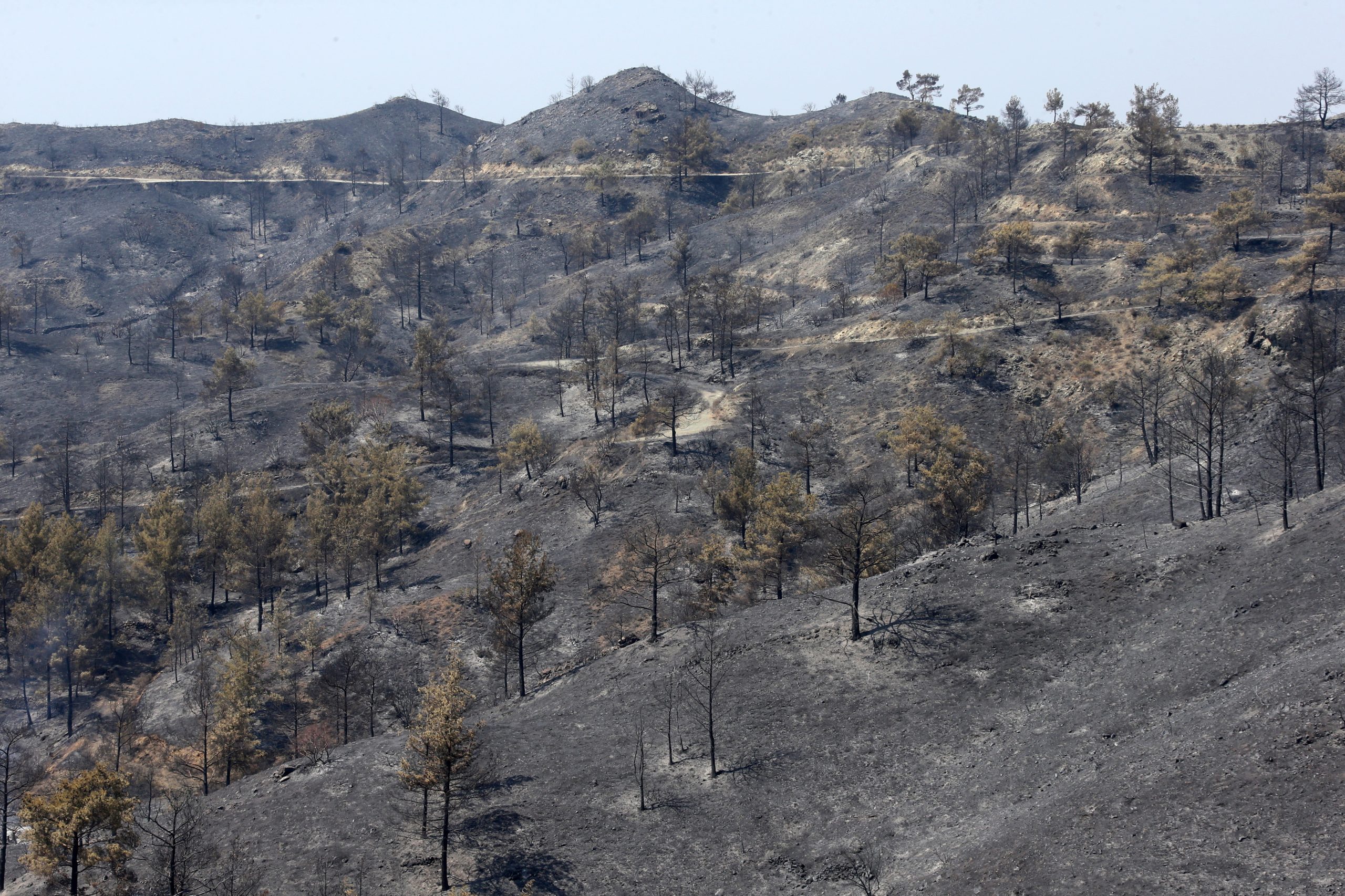 Incêndio que devastou área florestal em Chipre está sob controlo