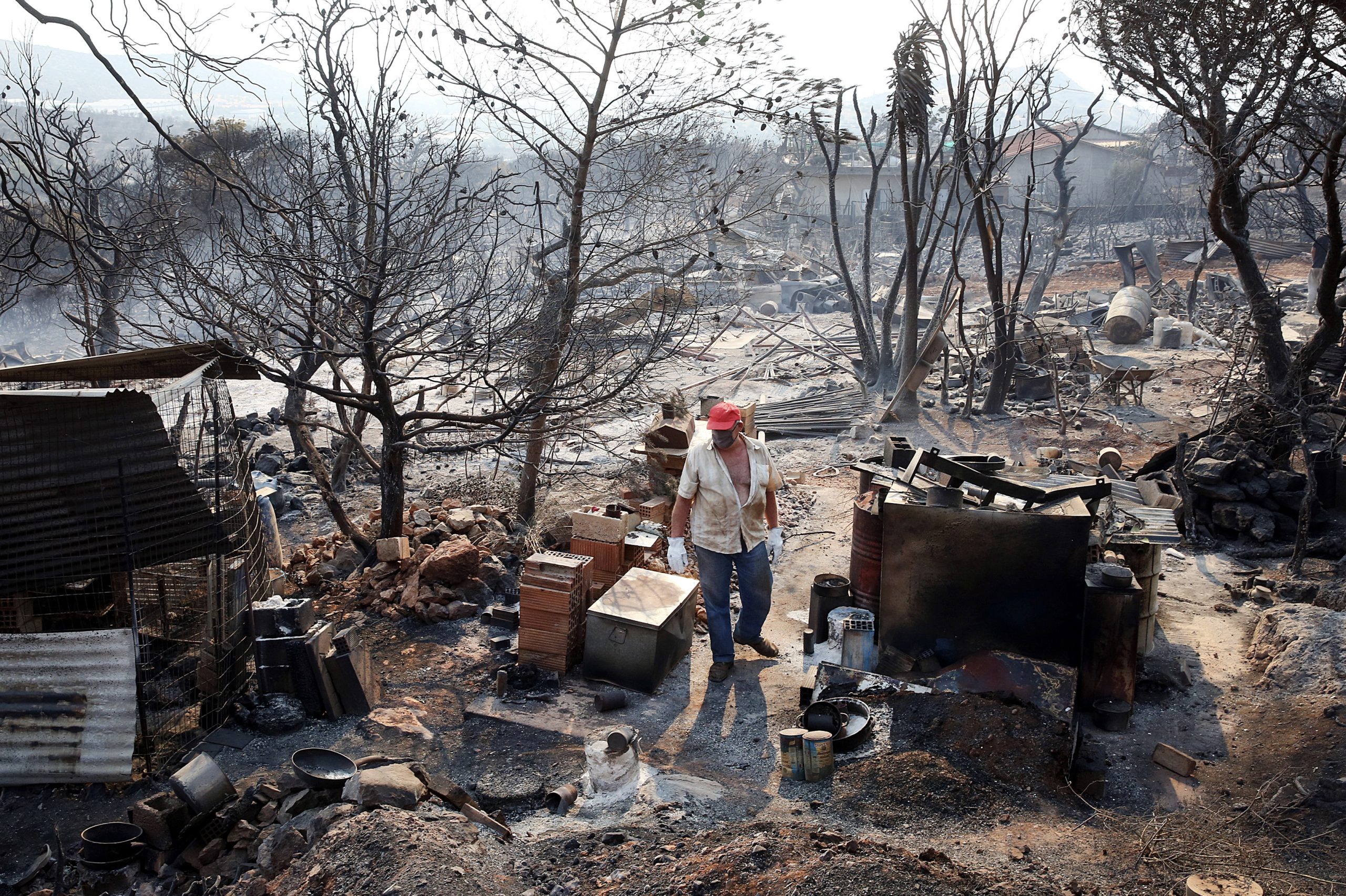 Centenas de bombeiros travam “enorme batalha” na Grécia. Roménia, Polónia e Eslováquia vão enviar reforços