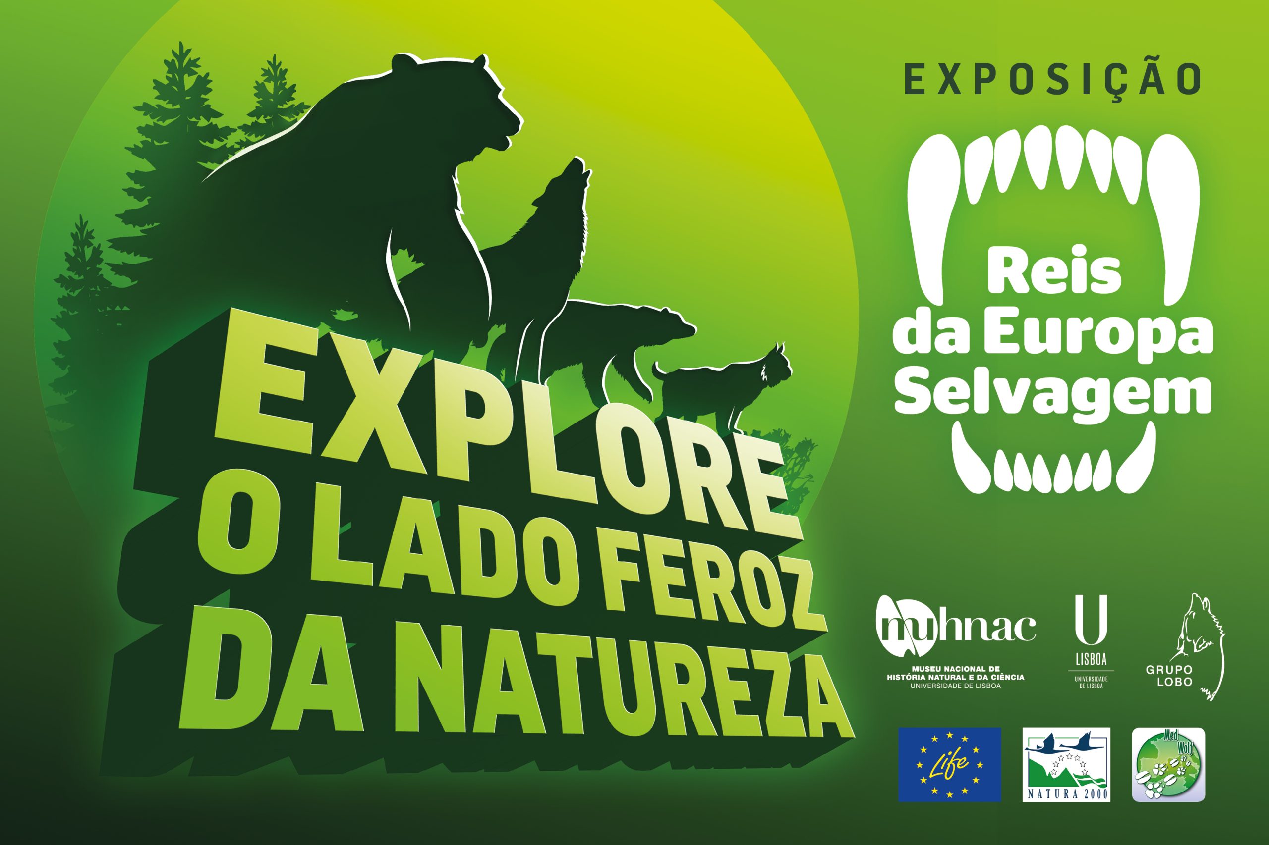 Os reis da Europa selvagem vão estar em Lisboa a partir de quinta-feira