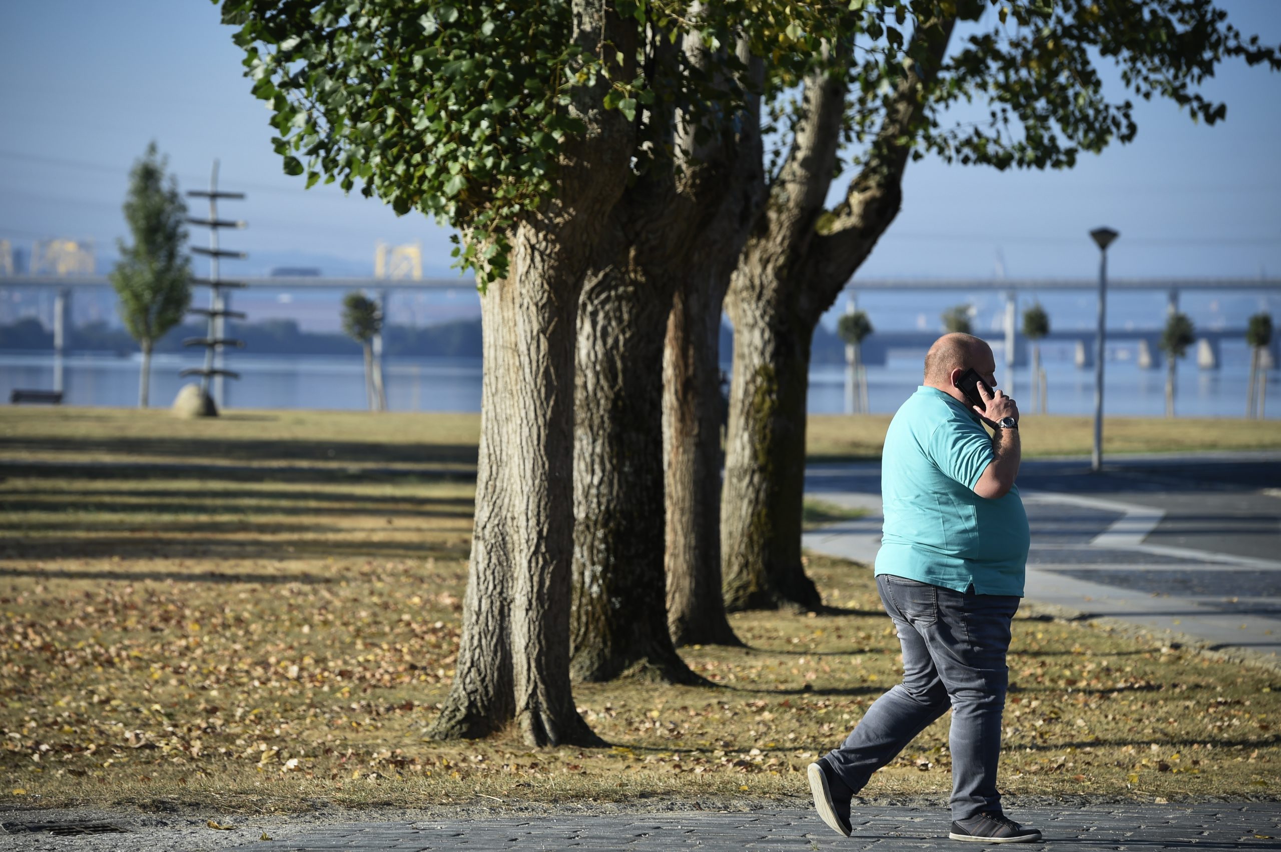 OCDE alerta que 92 milhões estão em risco de vida por causa de obesidade