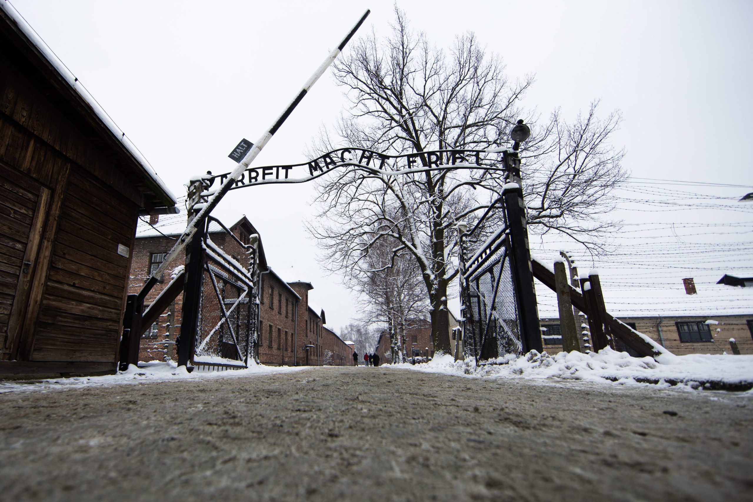 São portugueses e gravaram o seu nome num portão em Auschwitz. Agora, um tribunal polaco condenou-os