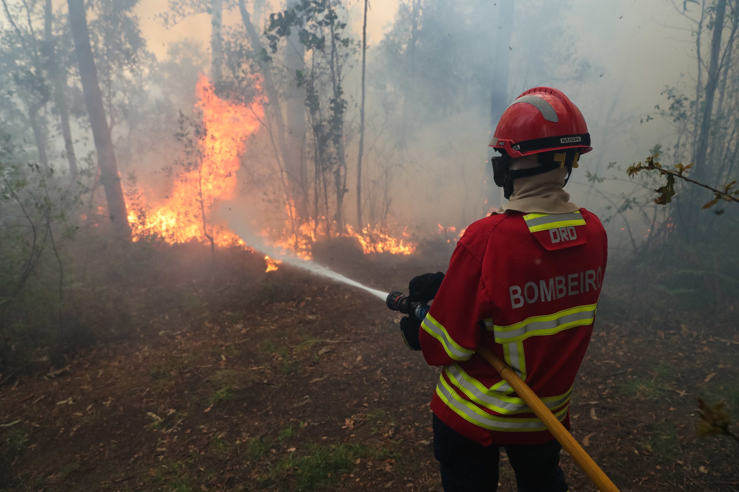 Incêndios: Fogo em Rio Maior encontra-se em resolução mas mantêm-se 250 operacionais no local