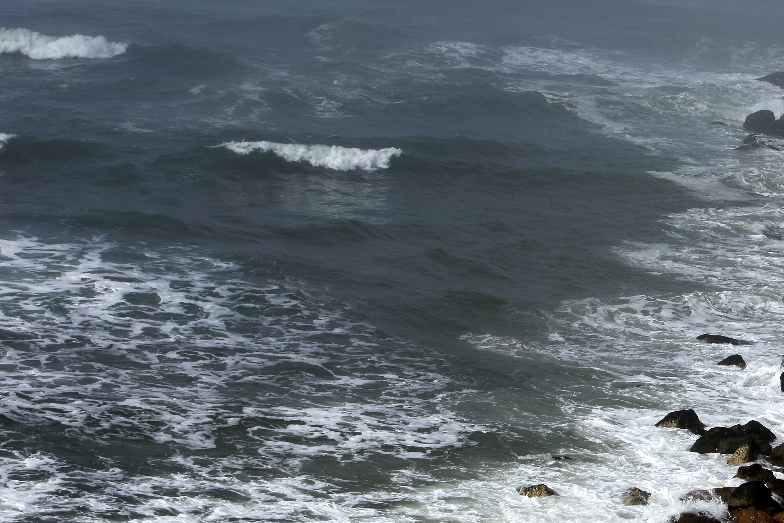 Federação das Pescas dos Açores defende alargamento do prazo das Áreas Marinhas Protegidas