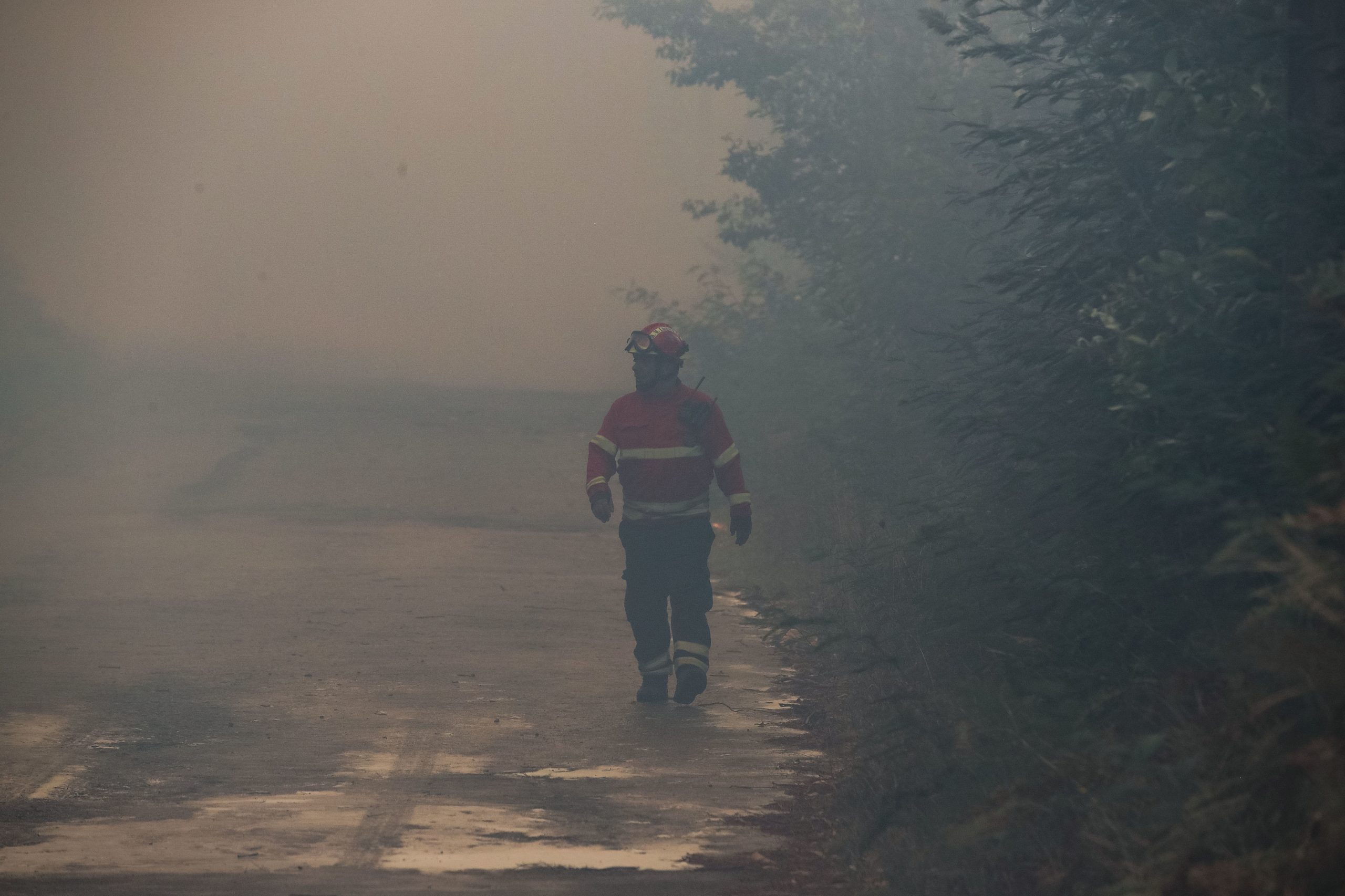Incêndios: Falta de acessos dificulta combate ao incêndio em Carrazeda de Ansiães