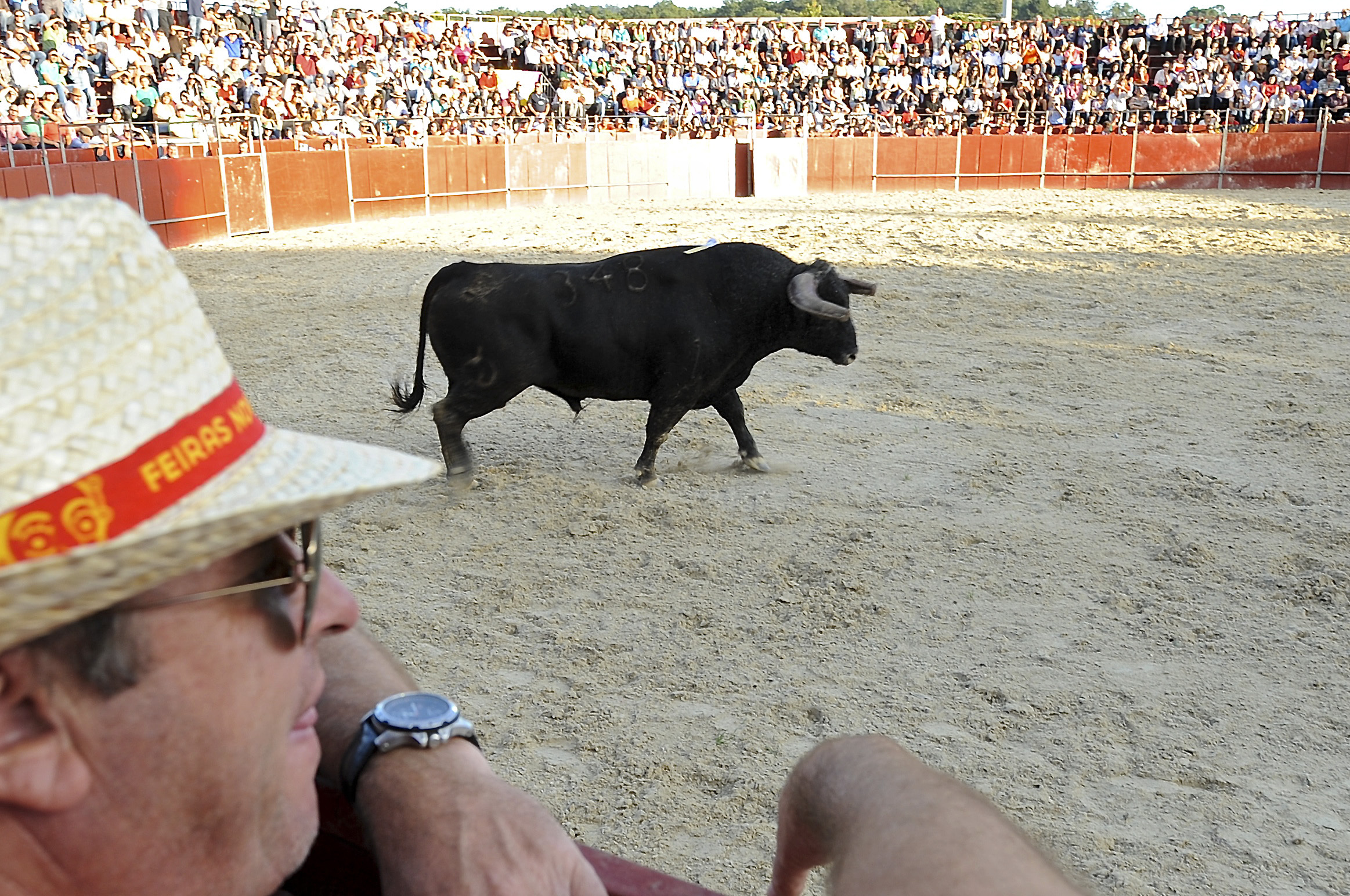 Deputado do PAN apela em Madrid à abolição das touradas