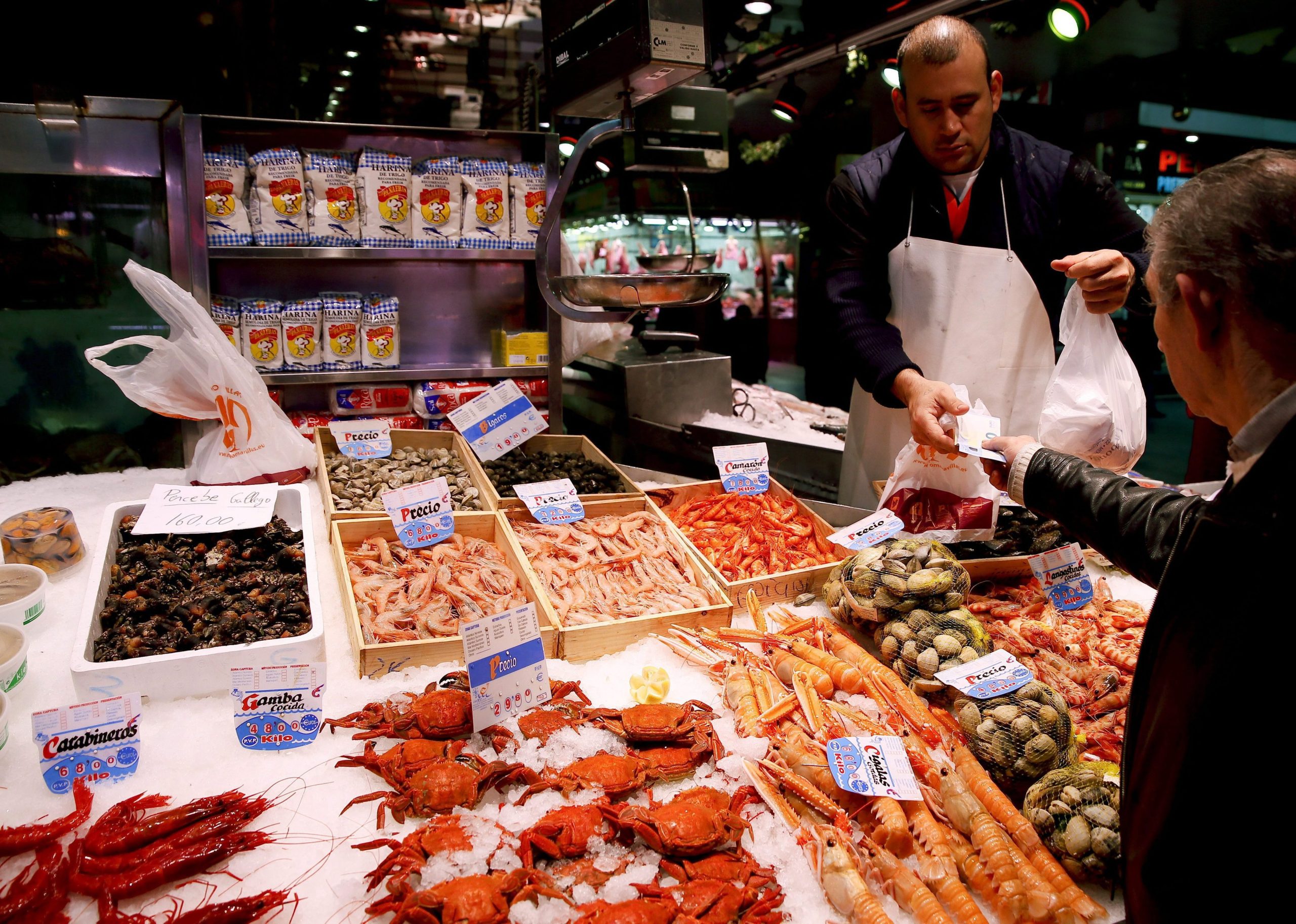 FAO: Portugal deve criar conselho nacional de segurança alimentar
