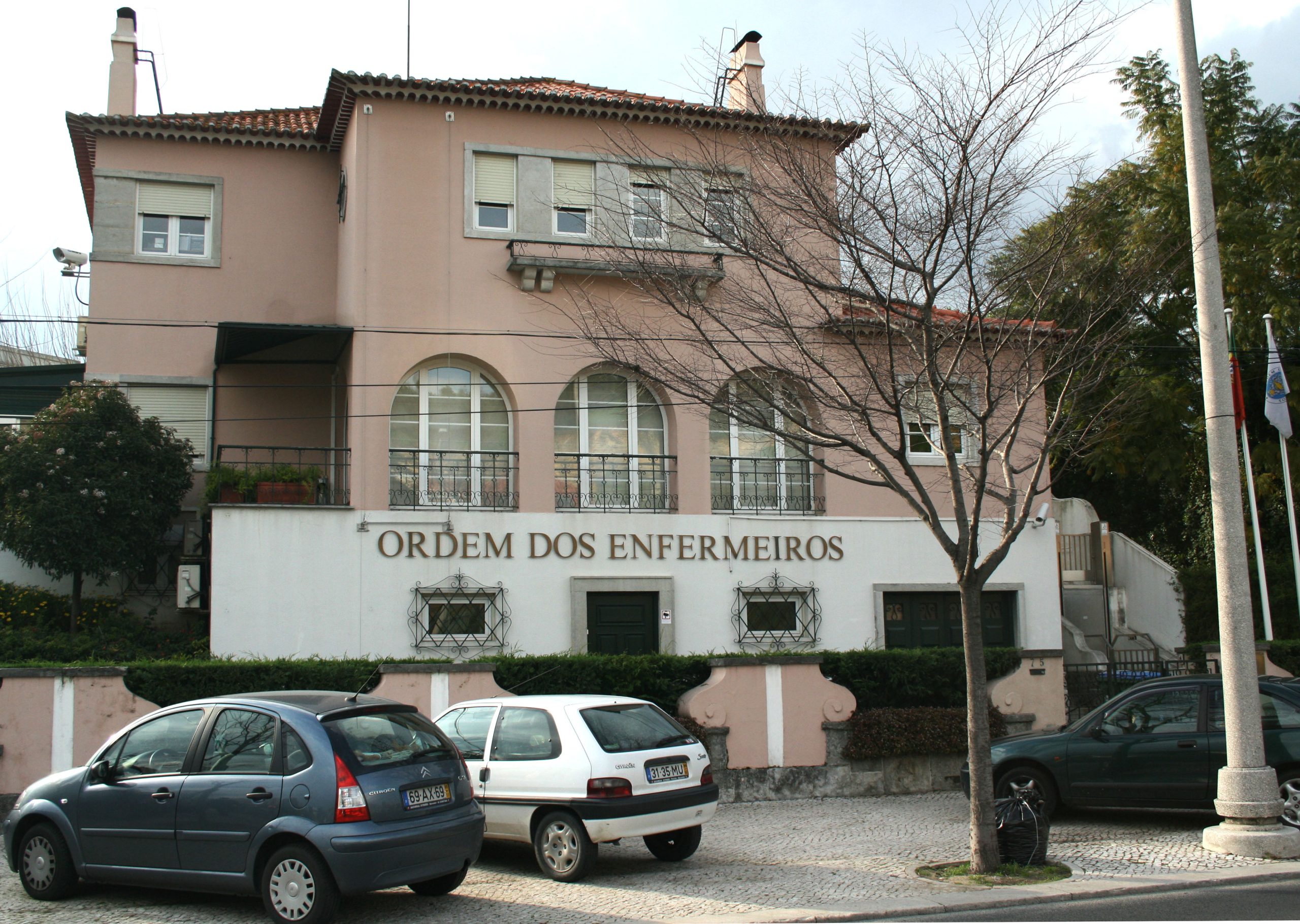 Ordem dos Enfermeiros admite tomar medidas em resposta a recomendação sobre regulamento disciplinar