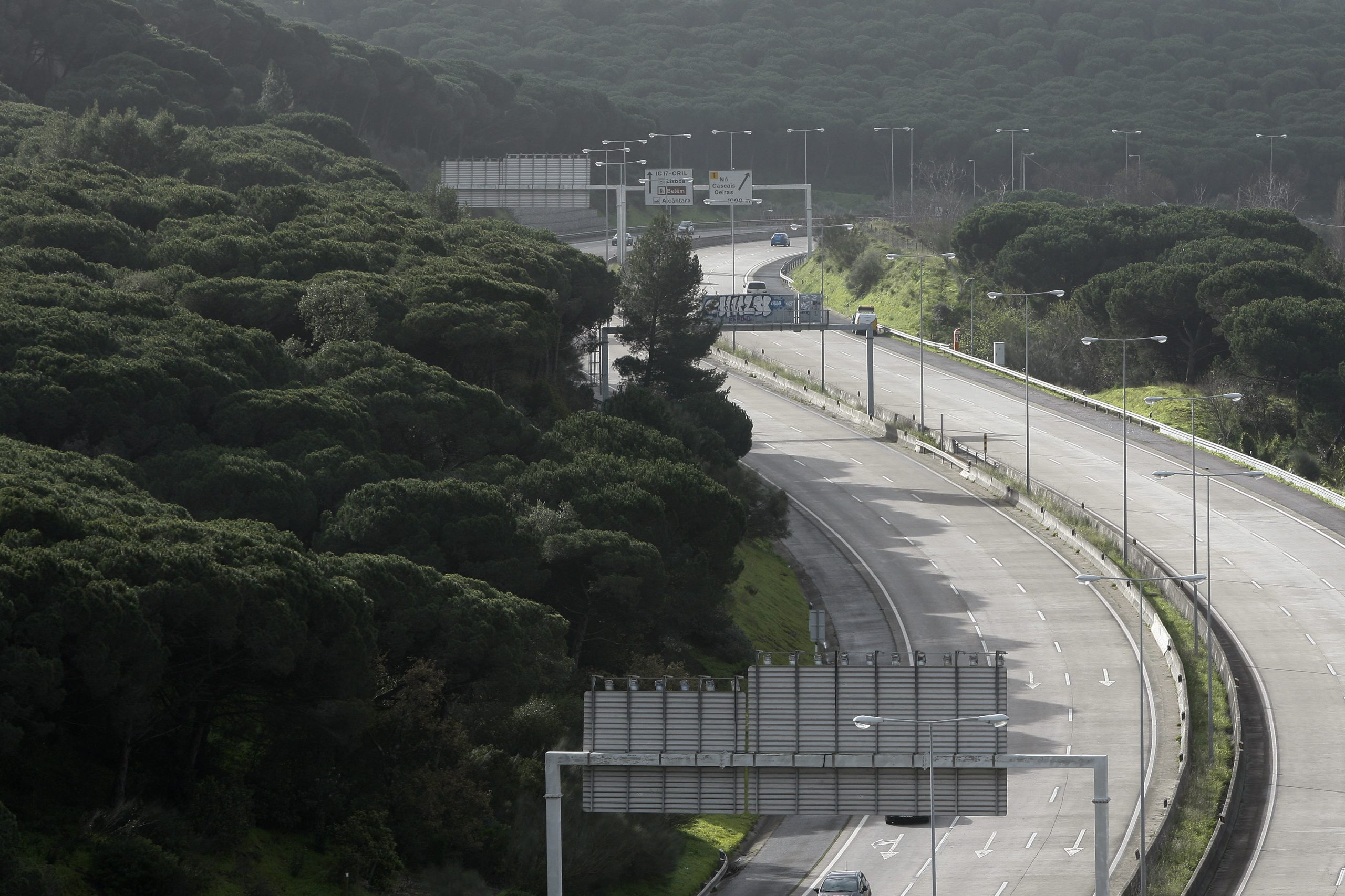 Calor. Câmara de Lisboa quer evitar “concentração de pessoas” em Monsanto