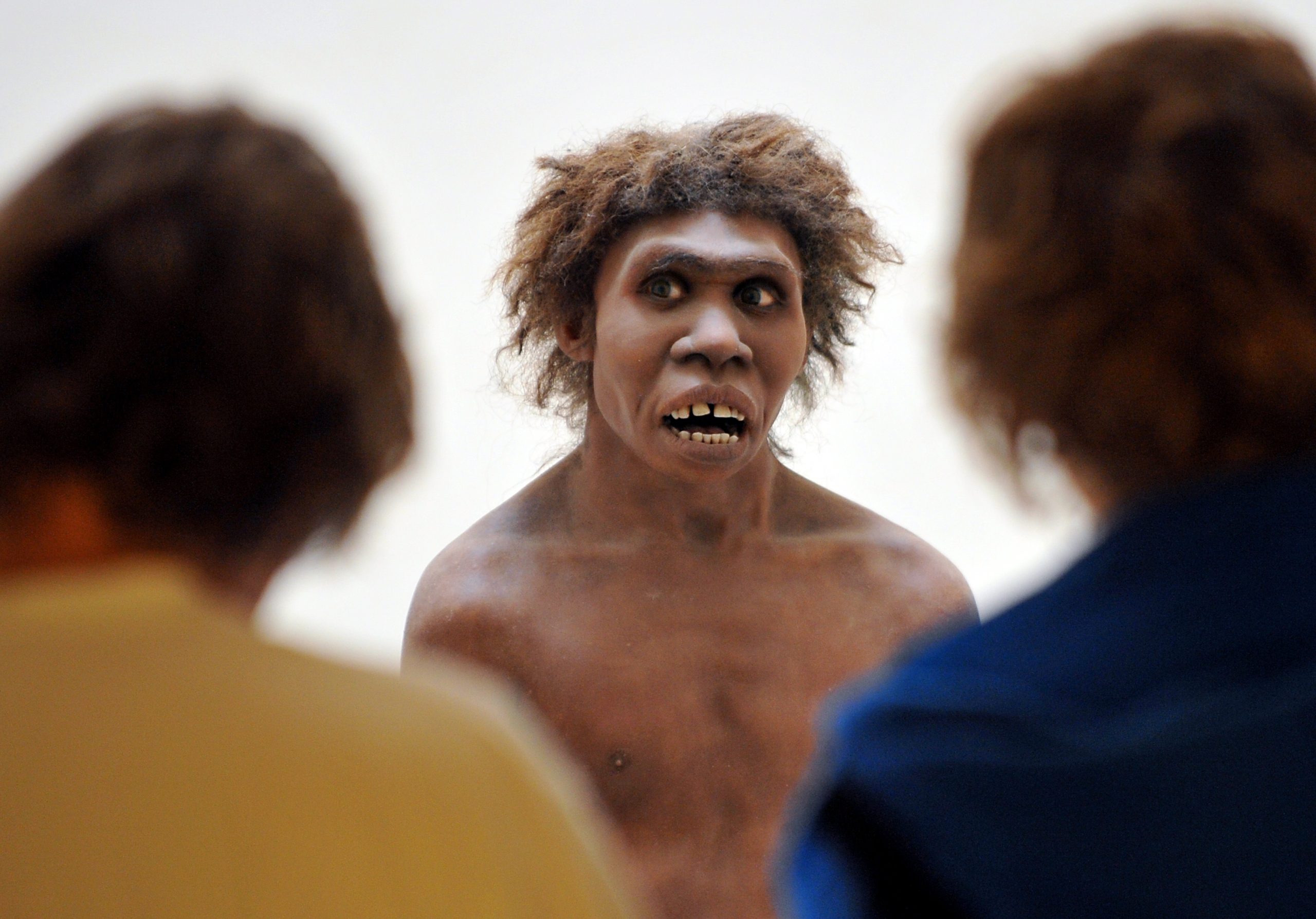 Neandertais usavam cola para fazer ferramentas de pedra