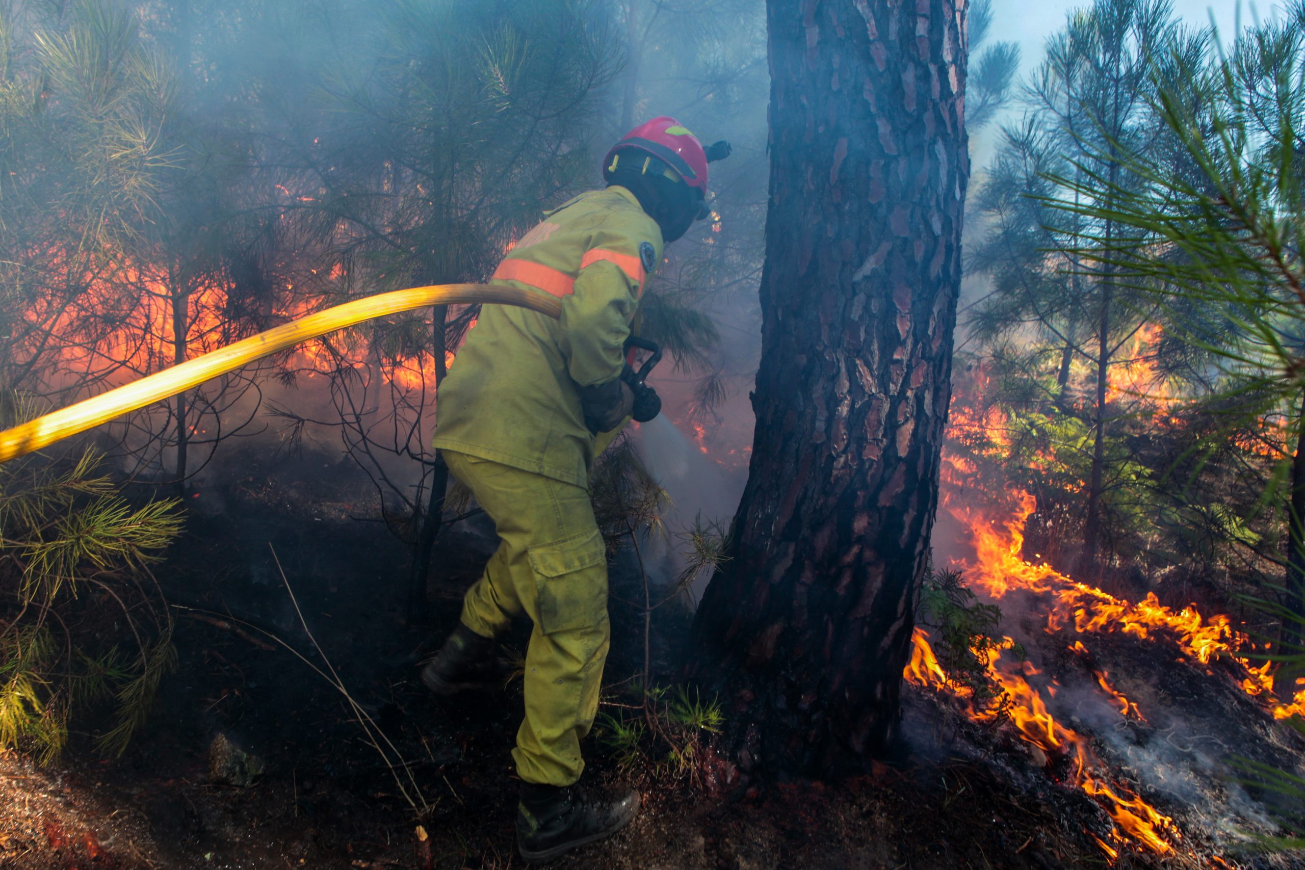 MAI diz que número de incêndios registado este ano foi 44% menor do que média da década