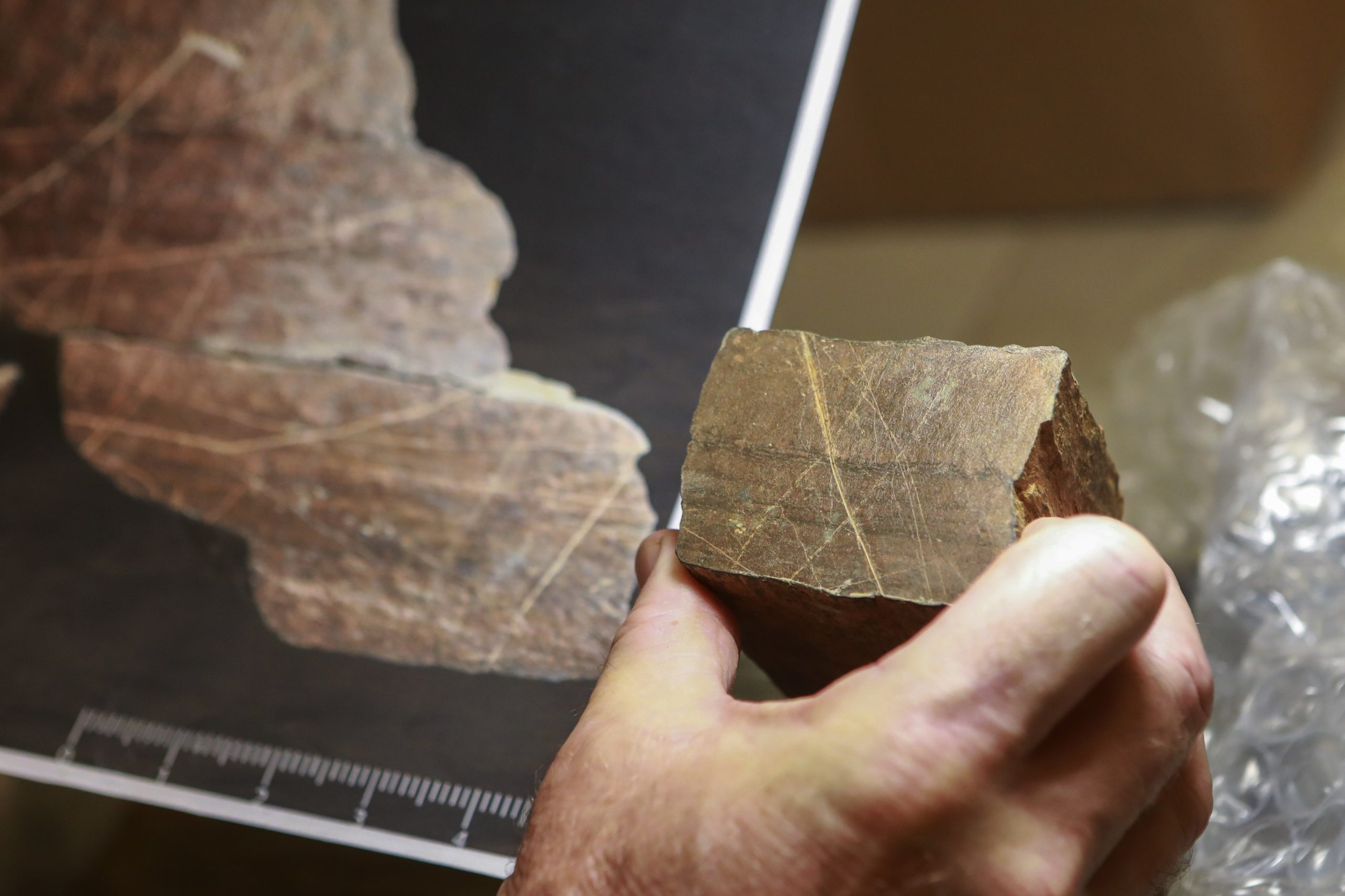 Foz Côa. Como pinturas de há 25 mil anos têm ajudado a desenvolver o interior norte do país