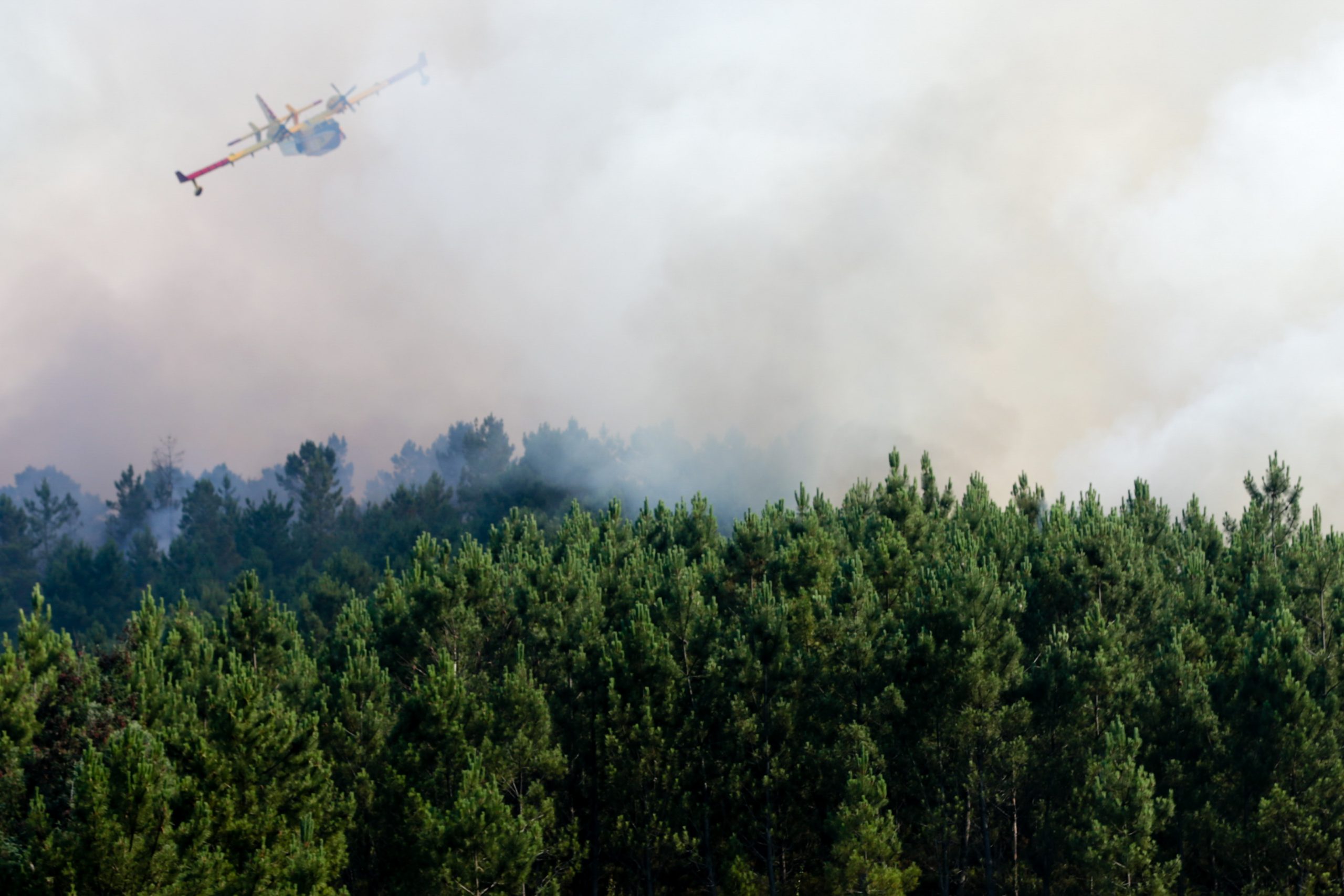 Incêndio em Góis foi dado como extinto