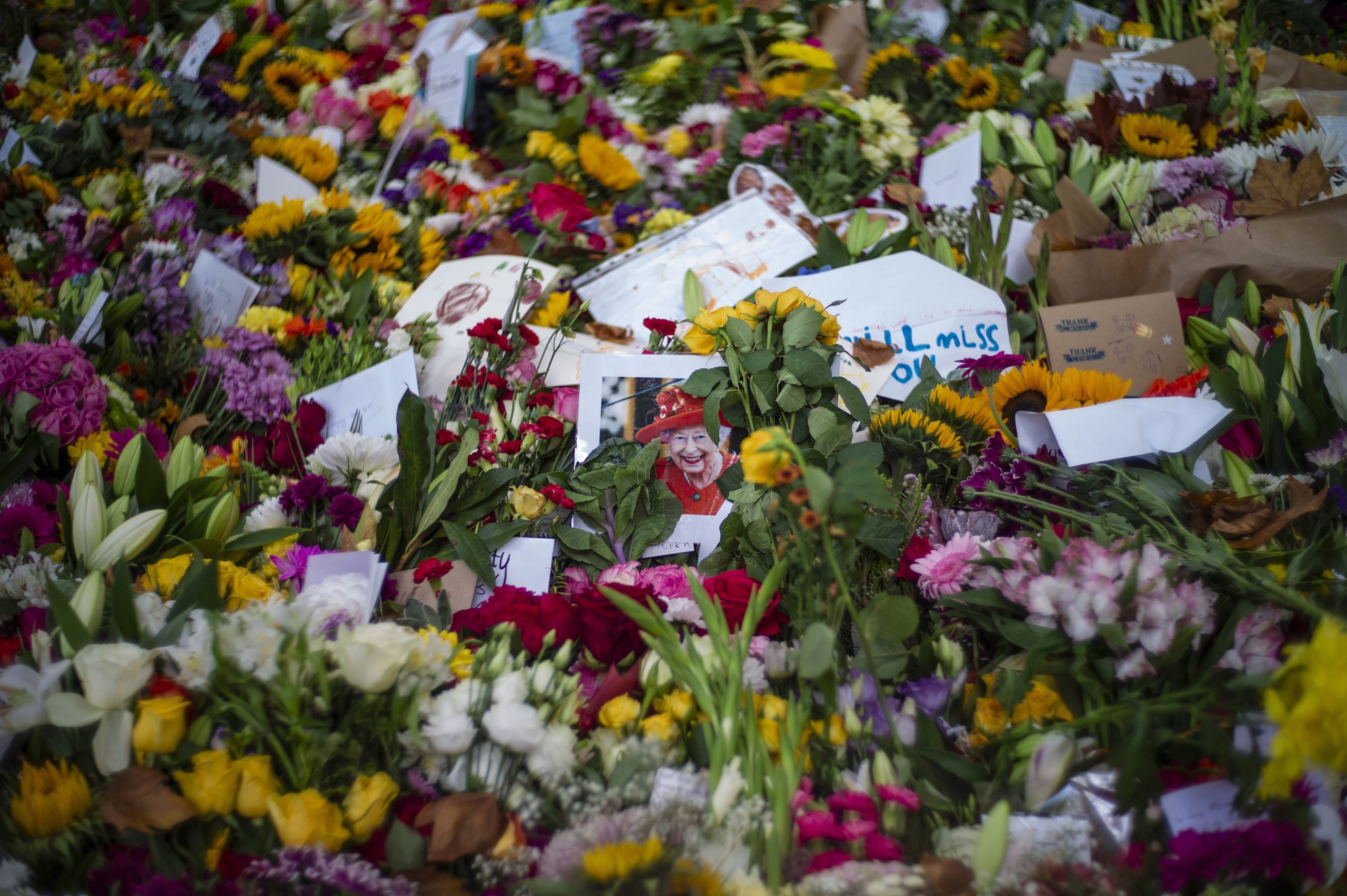 Flores são permitidas, mas não ursos de peluche. Há regras para os tributos a Isabel II no Green Park, em Londres