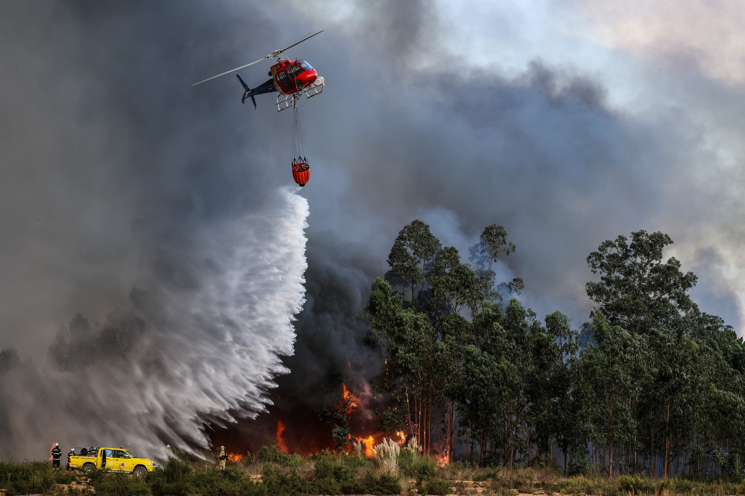 Mais de 30 concelhos em perigo máximo de incêndio