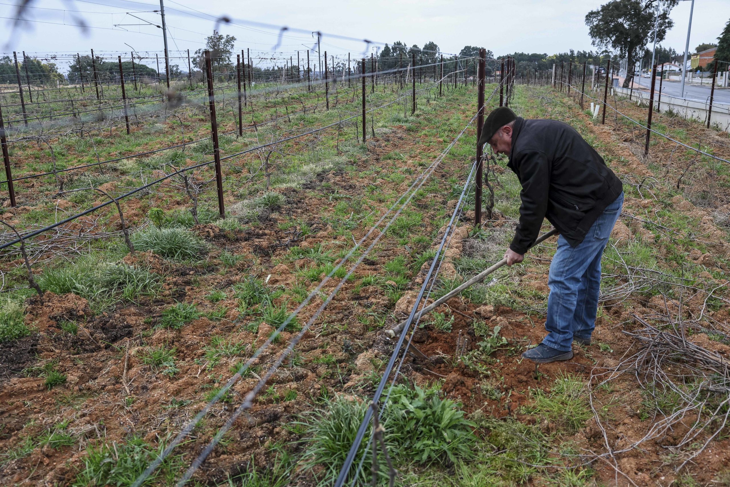 Governo apoia agricultores devido ao mau tempo