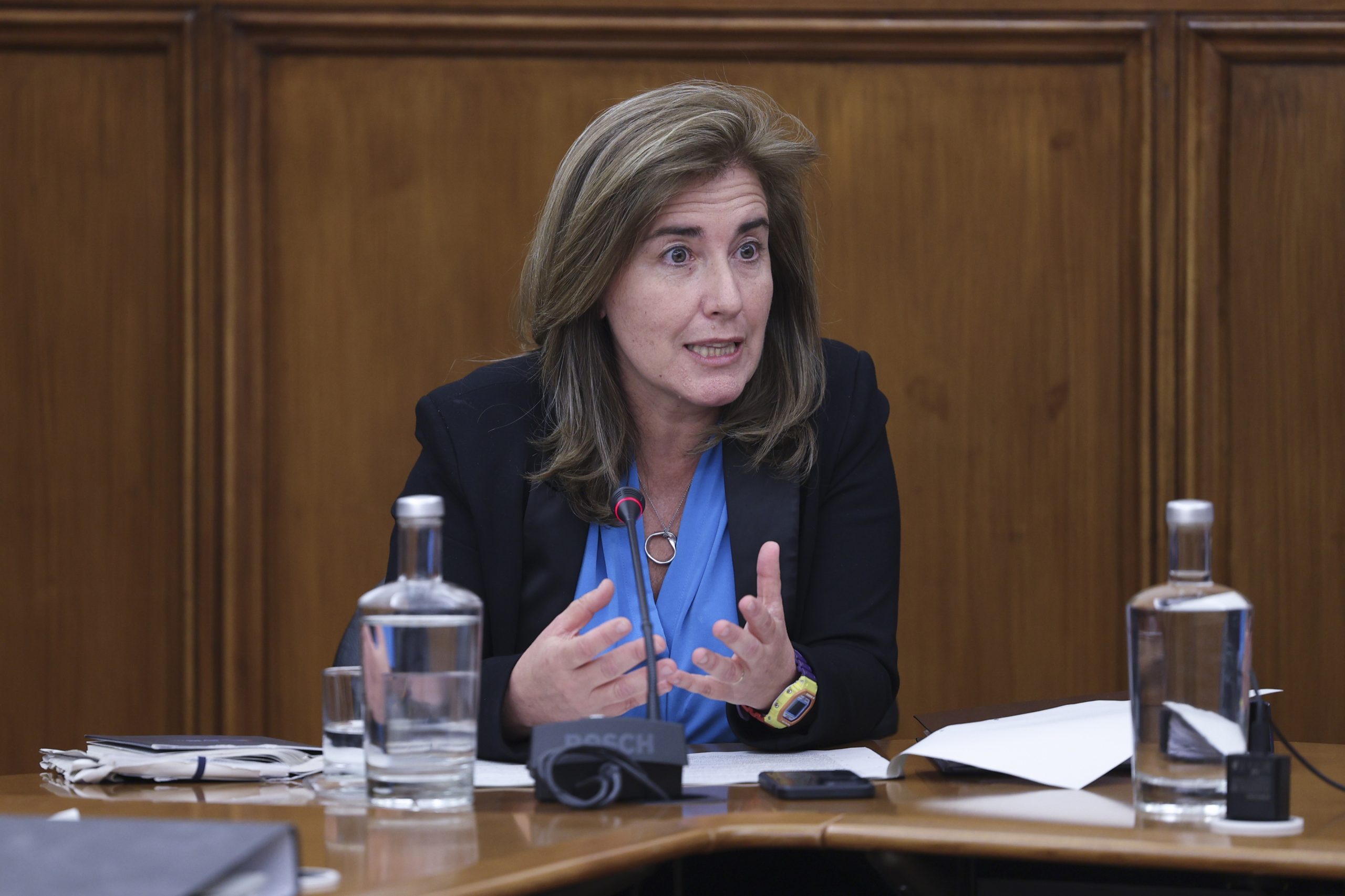 Ex-ministra defende que qualquer alínea sobre privatização dos jogos sociais dependia de aprovação