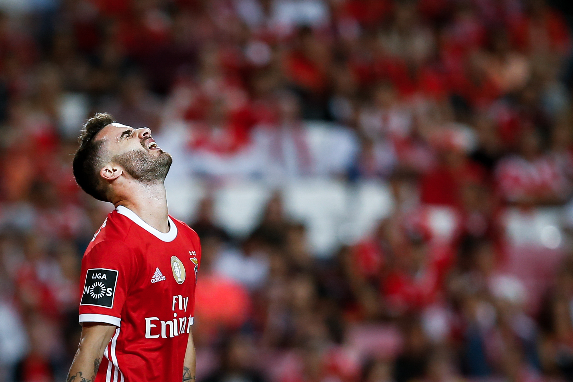 Rafa dispensado da seleção portuguesa. Benfica revela que jogador tem uma tedinopatia no adutor à esquerda