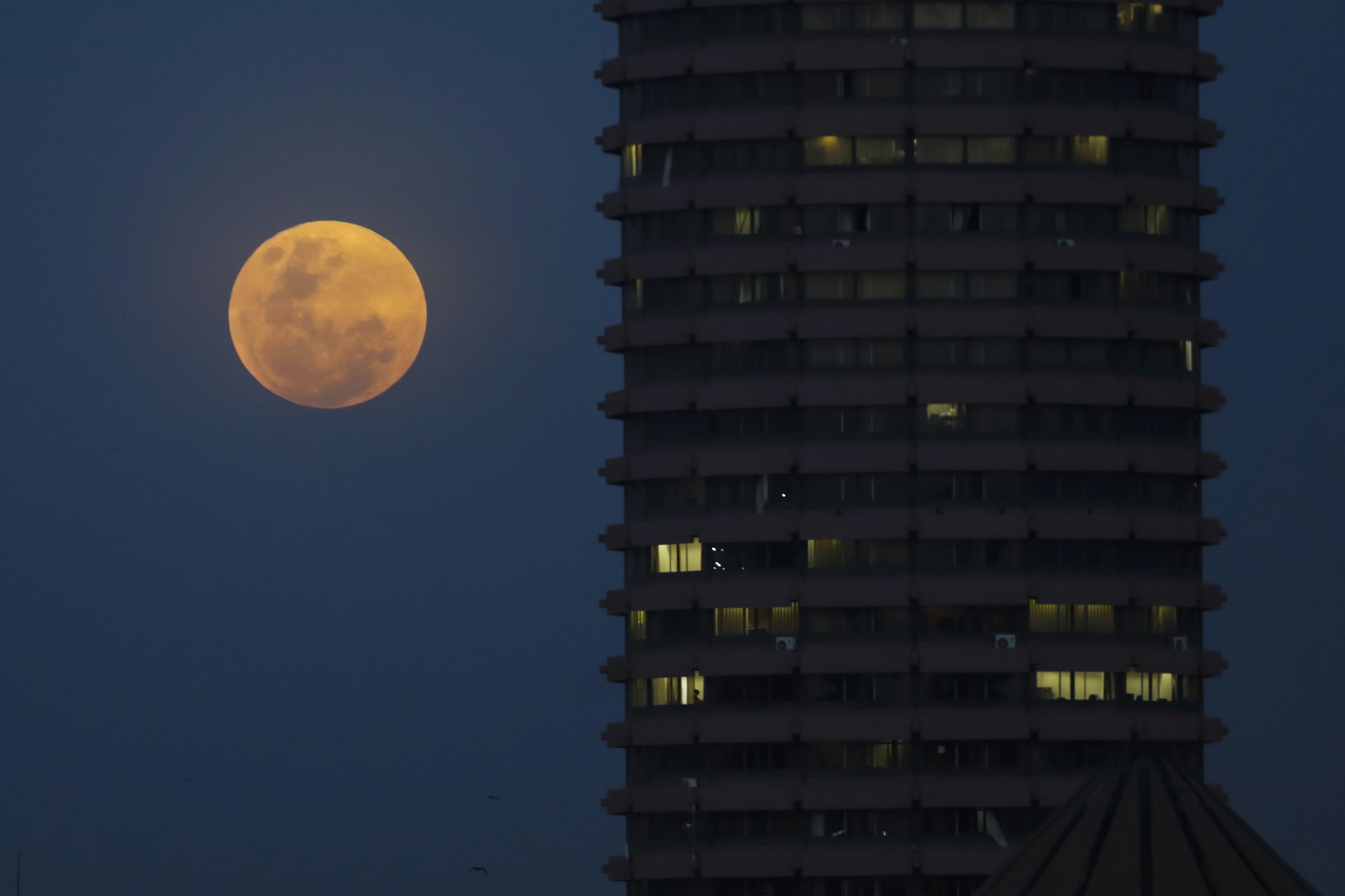 Lua vai estar na segunda-feira tapada pela sombra da Terra e aparentemente maior
