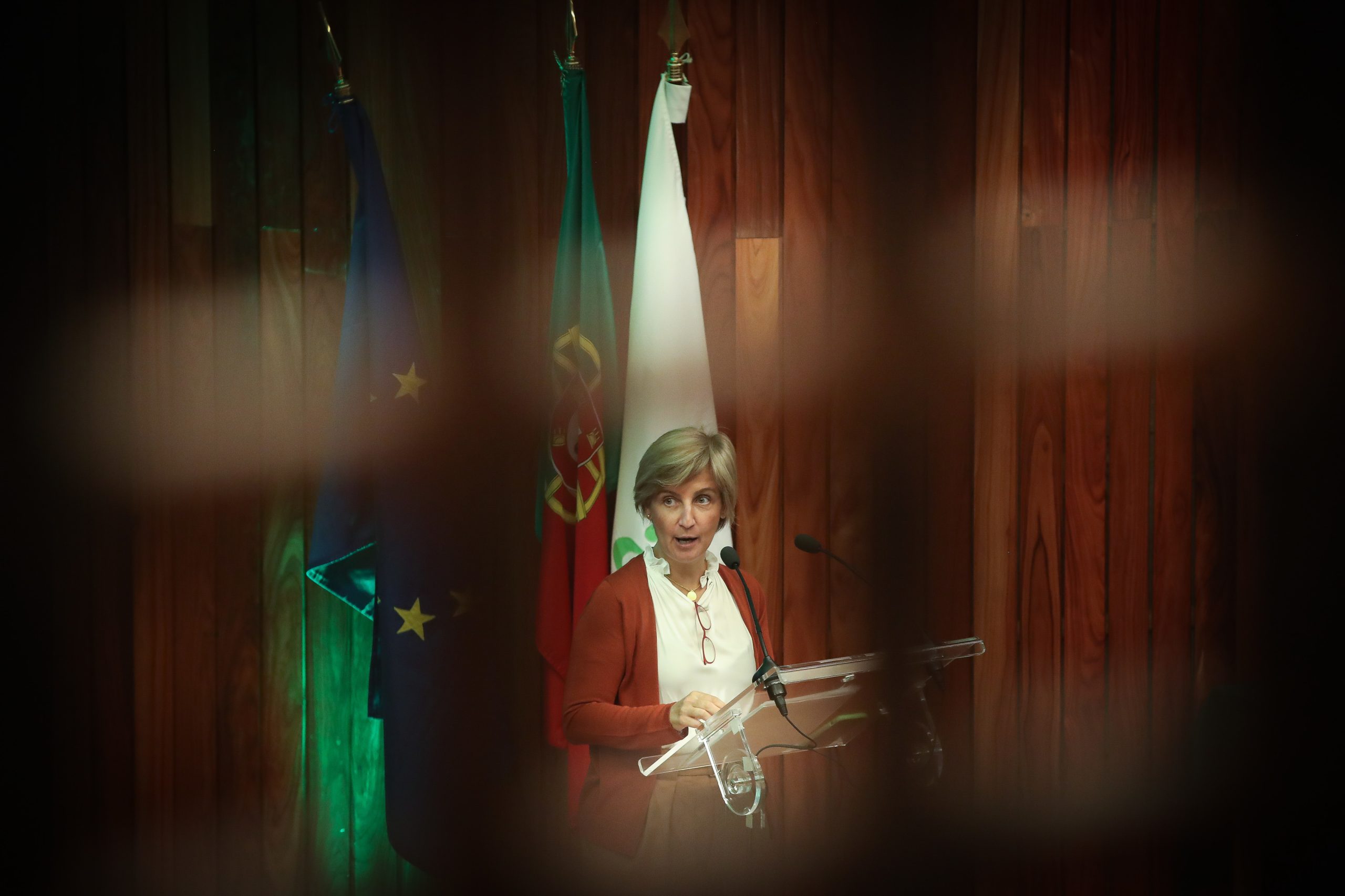 Ministra da Saúde admite que vacina contra a covid-19 pode vir a fazer parte do  Programa Nacional de Vacinação