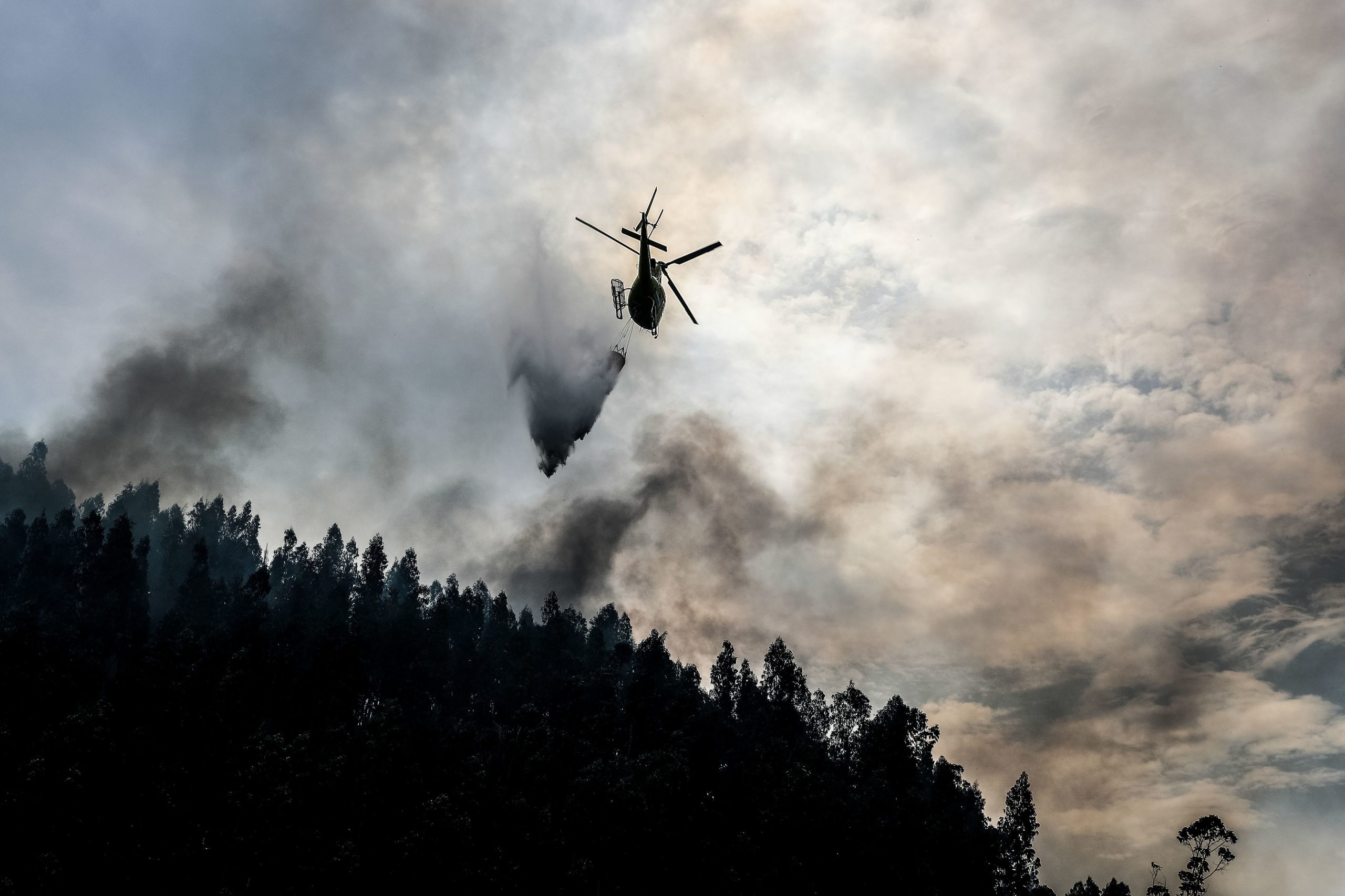 Mais de uma centena de concelhos de 14 distritos encontra-se de novo em risco máximo de incêndio