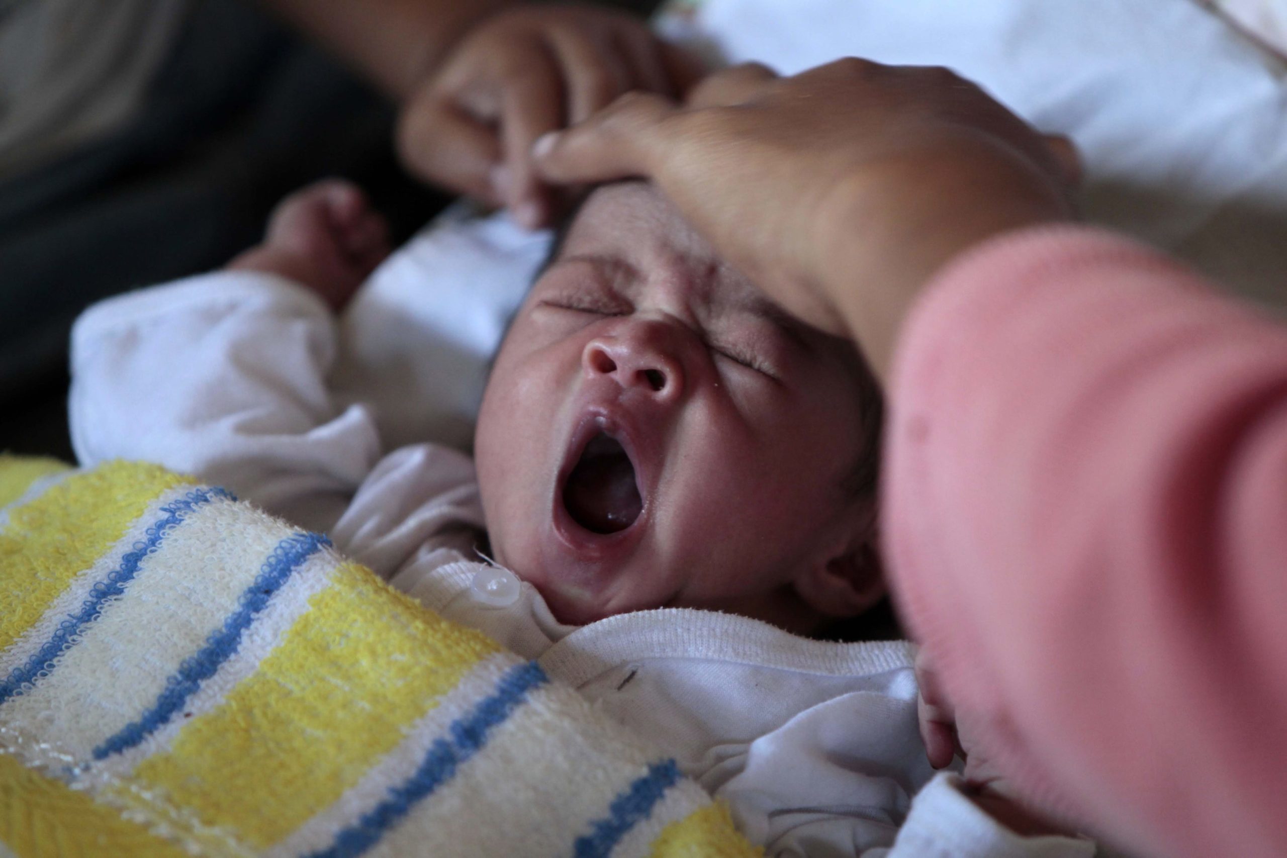 Faleceu João Gomes-Pedro, ‘pai da pediatria’ portuguesa