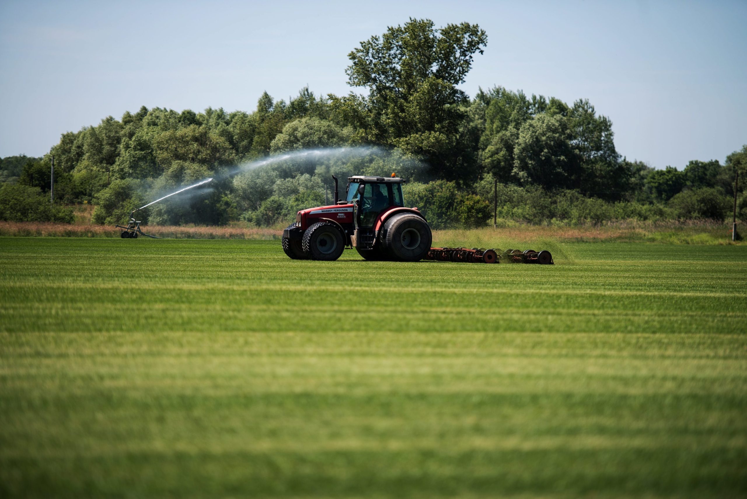 Eurodeputados aprovam reforma da Política Agrícola Comum
