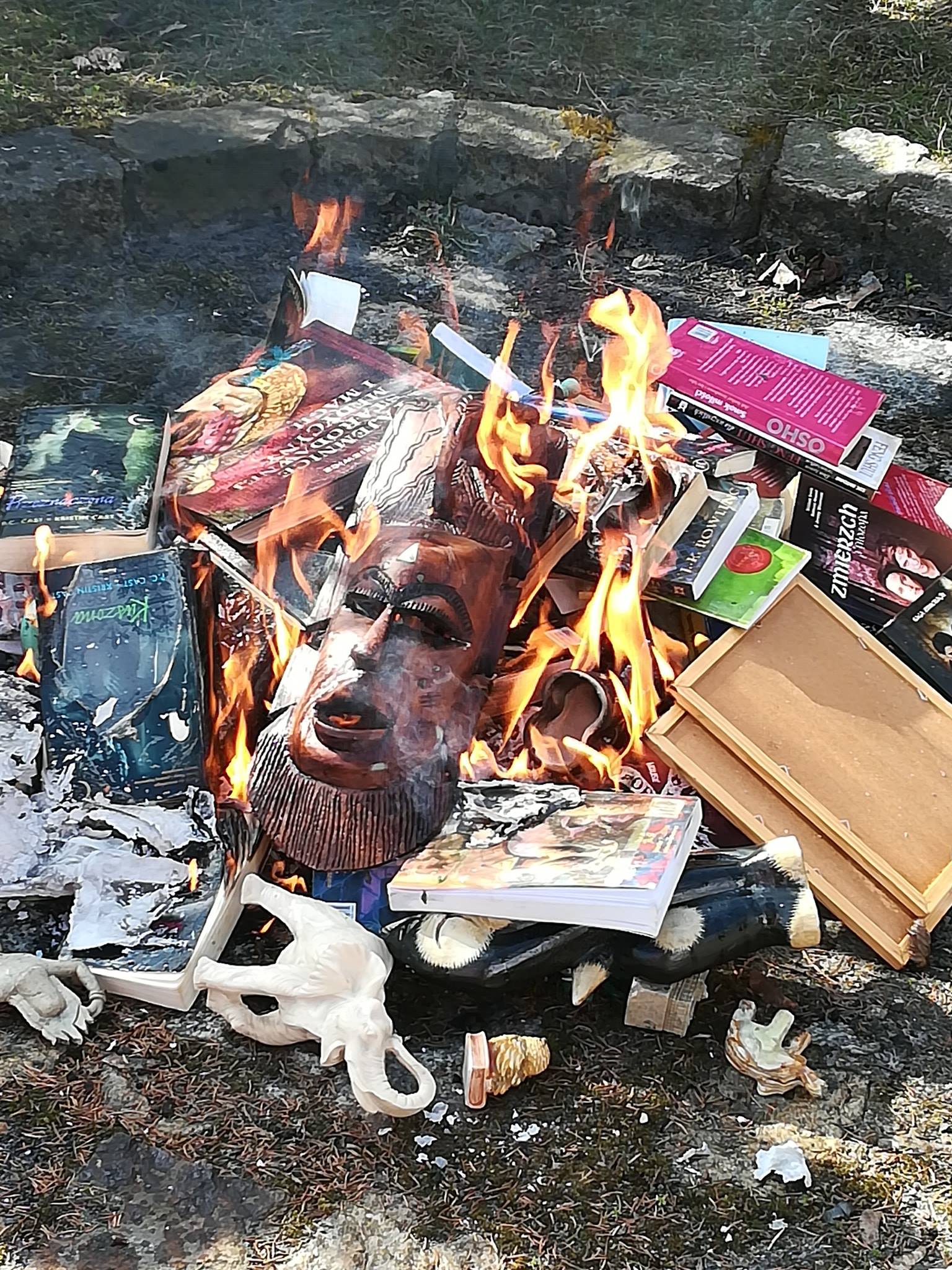 Padre que queimou livros de “Harry Potter” e “Crepúsculo” pede desculpa