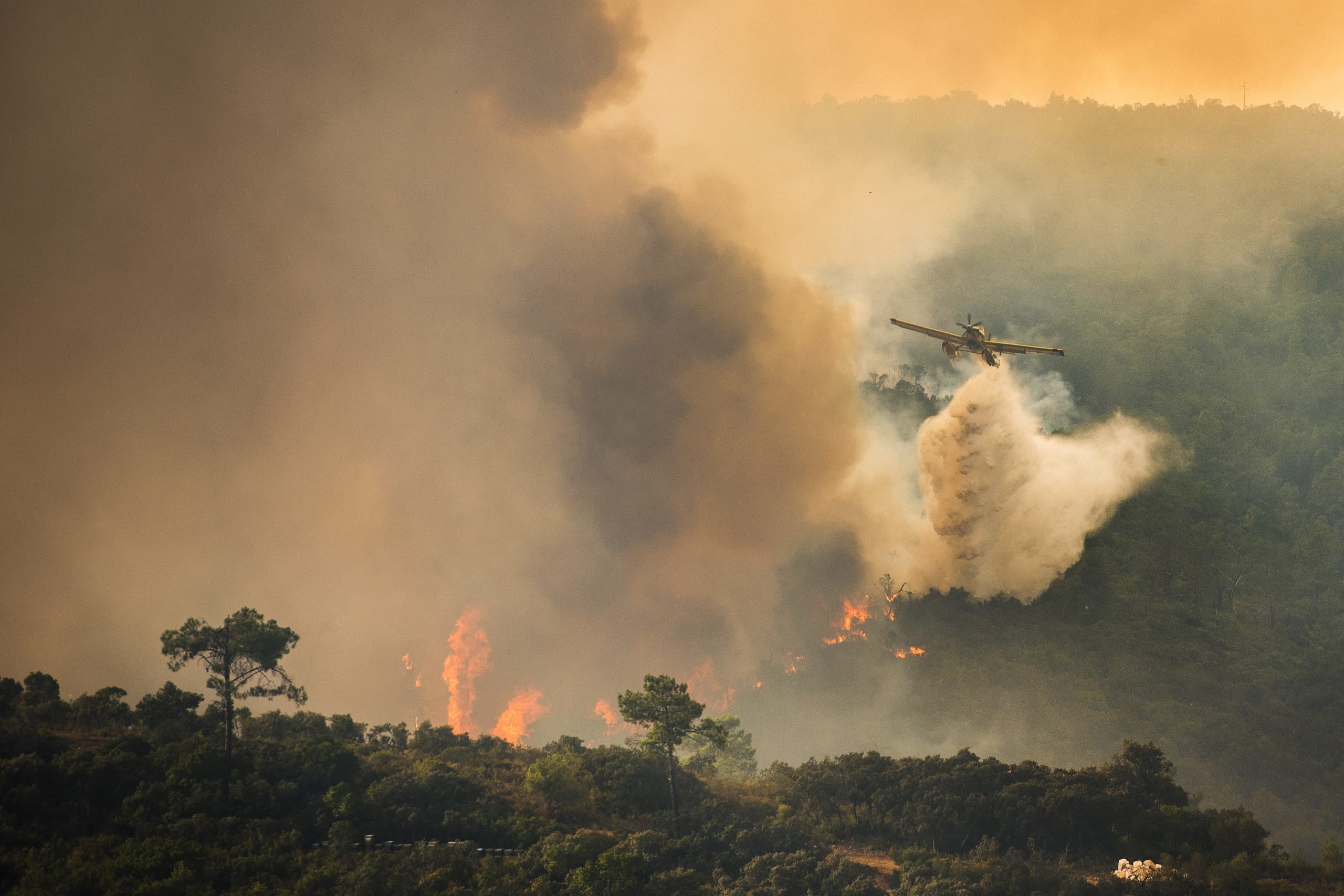 Incêndios: Presidente da Câmara de Ourém diz que situação está “muito complicada”
