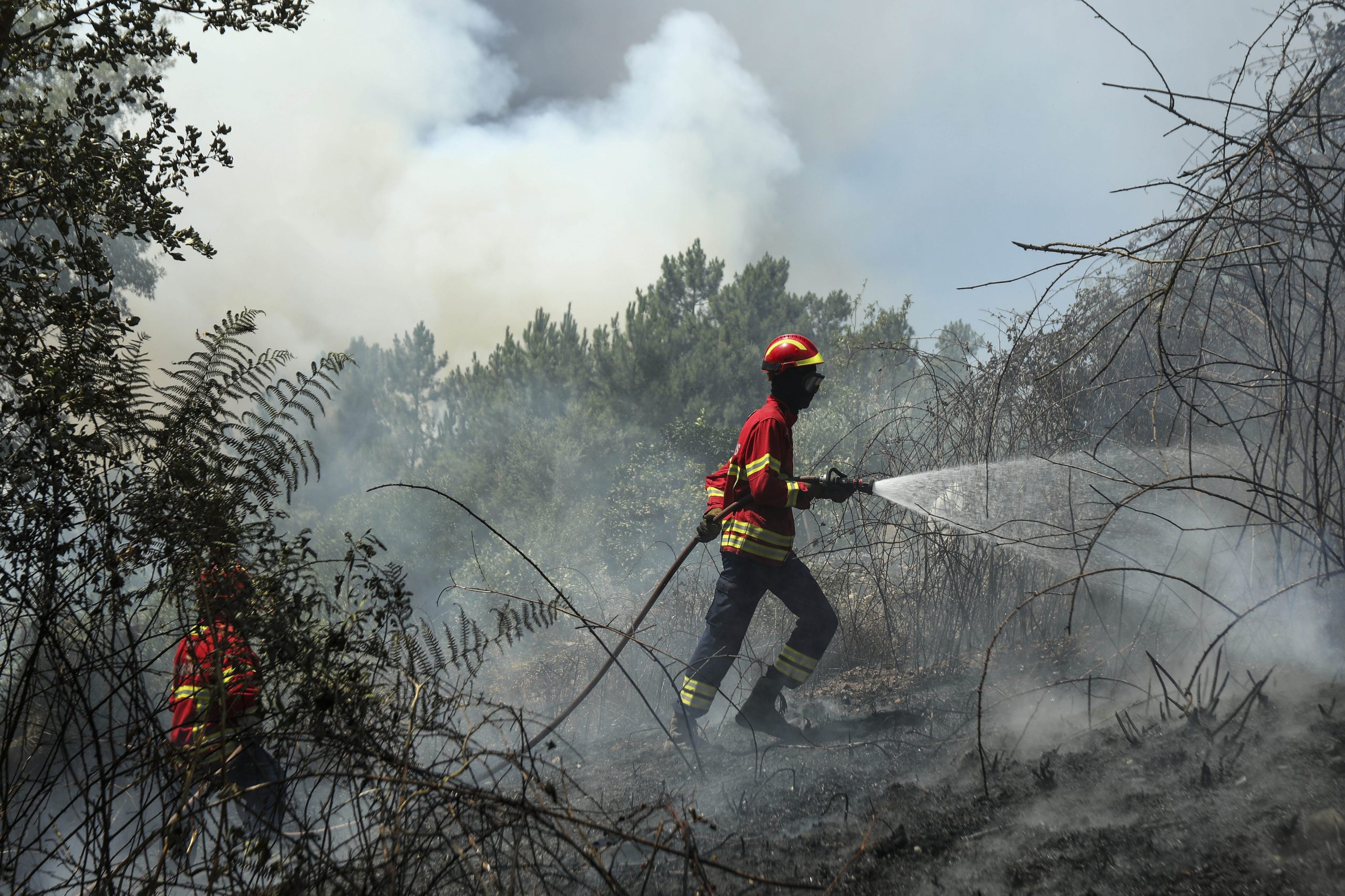 Incêndios: Autoestrada do Norte reaberta na zona de Coimbra. Comboios já circulam na linha do sul