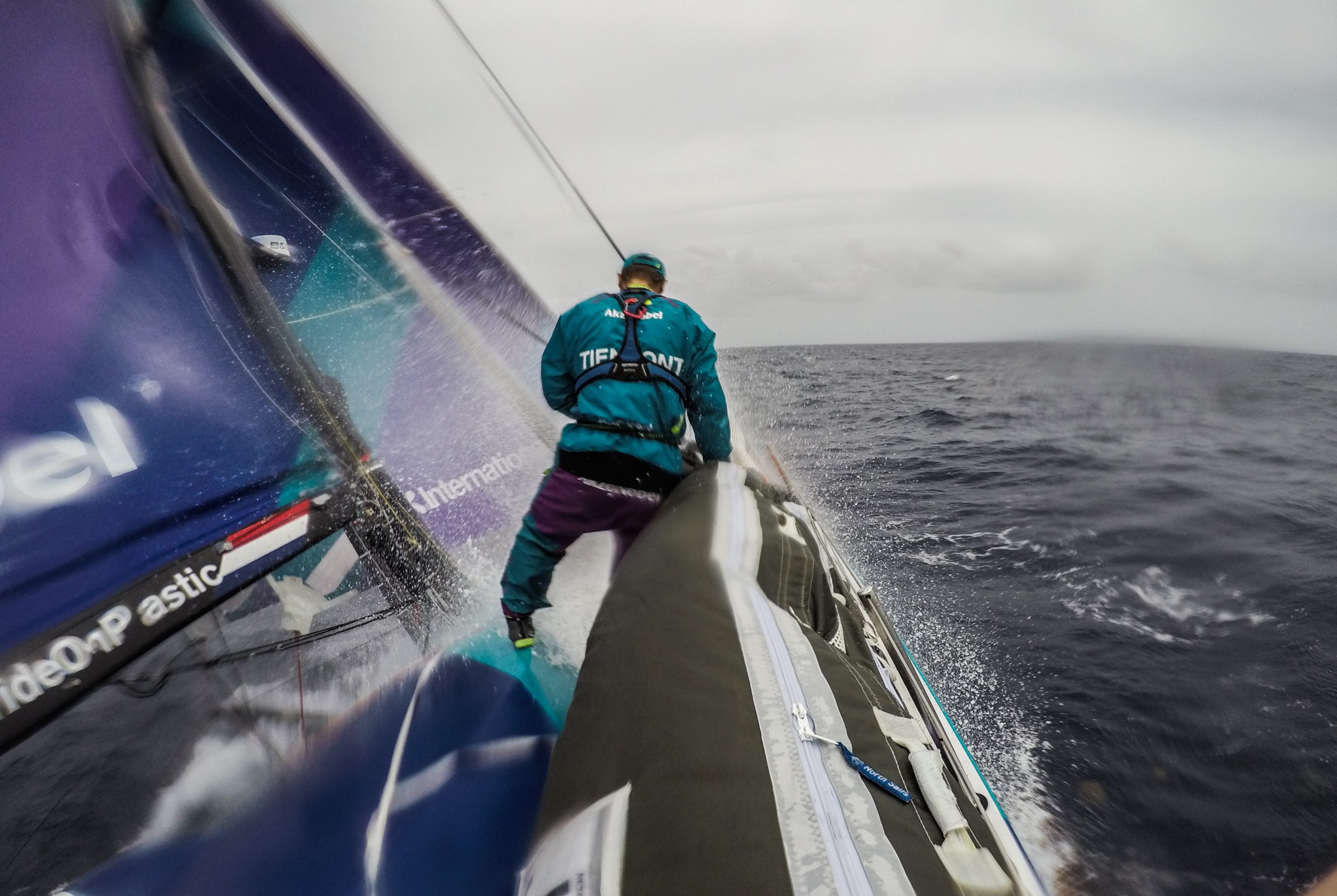 Frota da Volvo Ocean Race enfrenta inimigo comum: a erva daninha do mar, também conhecida por sargaço