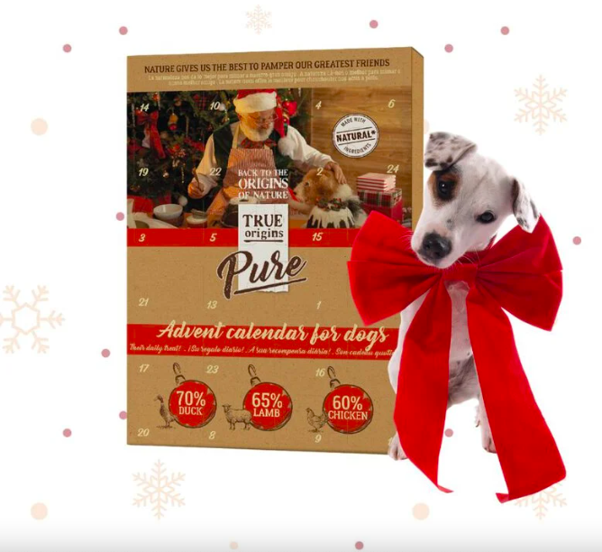 Calendário para cão