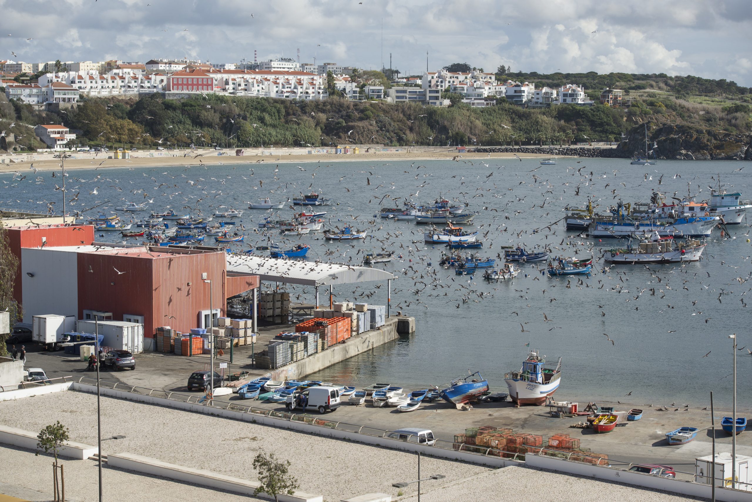 Testagem em massa à covid-19 nos portos de pesca de Sines, Rio Arade e Quarteira