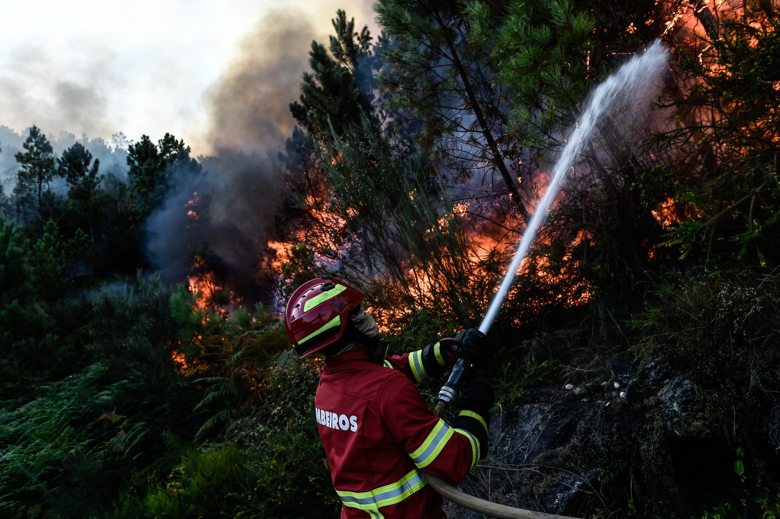 Incêndios: Operador de máquina de rasto morre em Oleiros, Castelo Branco