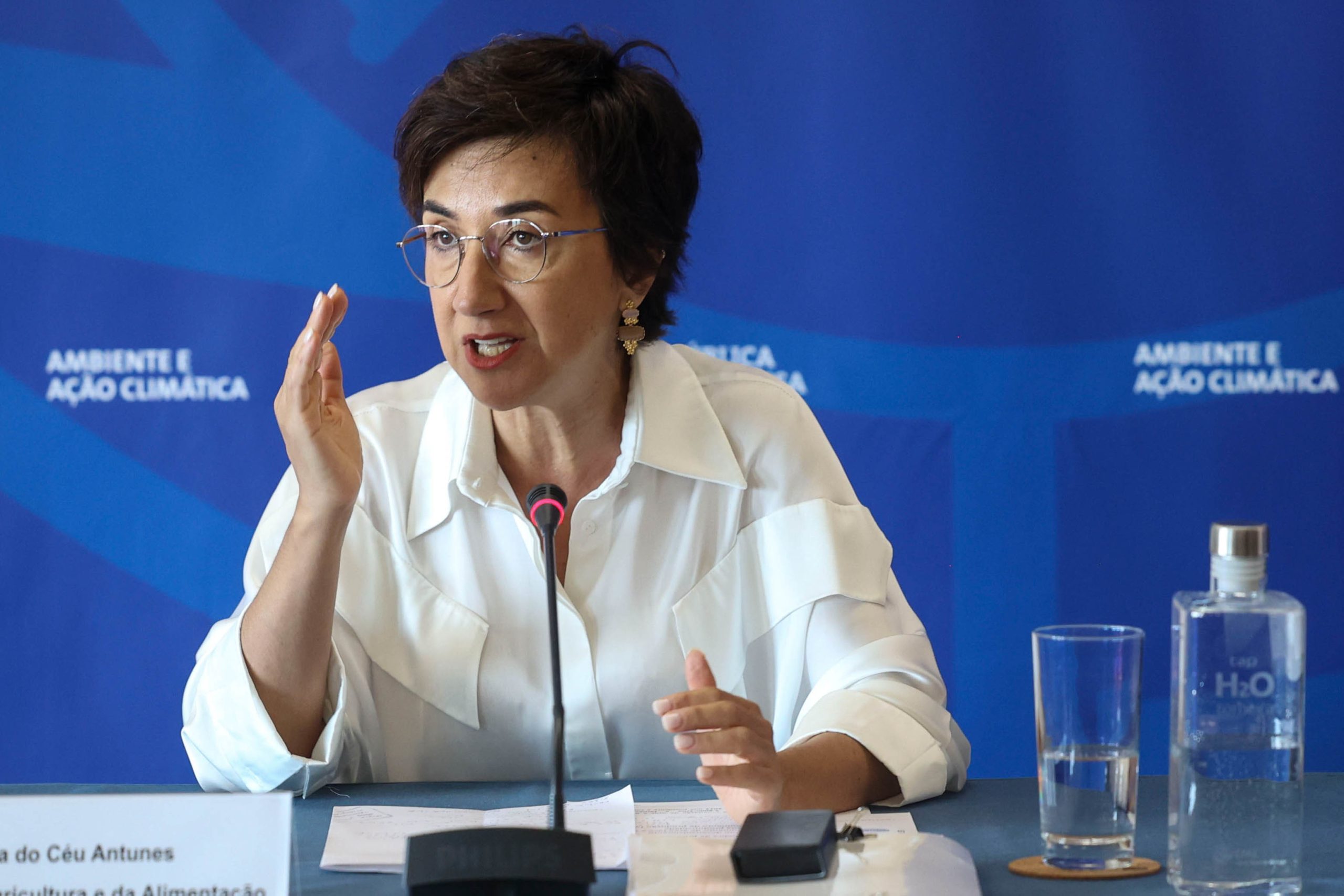 Ministra da Agricultura tranquila de que fez o que esteve ao seu alcance