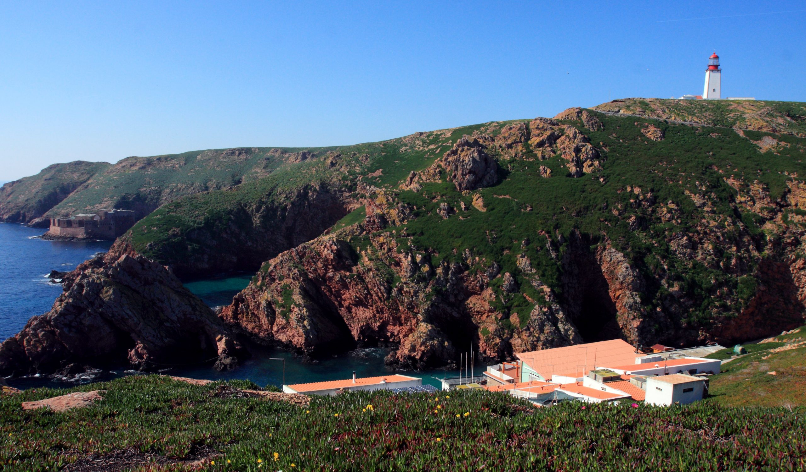 Visitantes da ilha da Berlenga passam a pagar taxa turística diária a partir de hoje