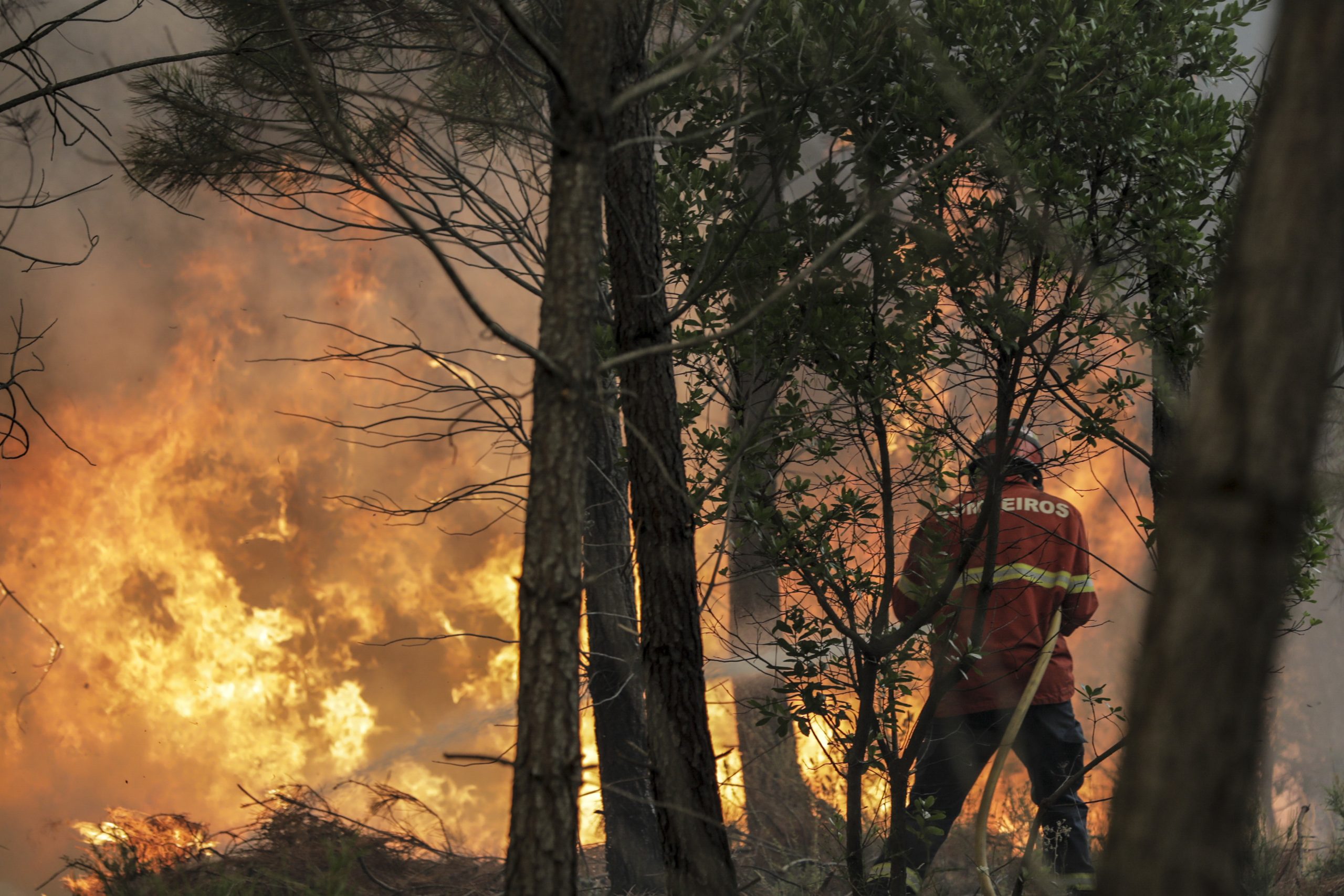 Incêndios: Fogo no concelho de Mafra em fase de conclusão
