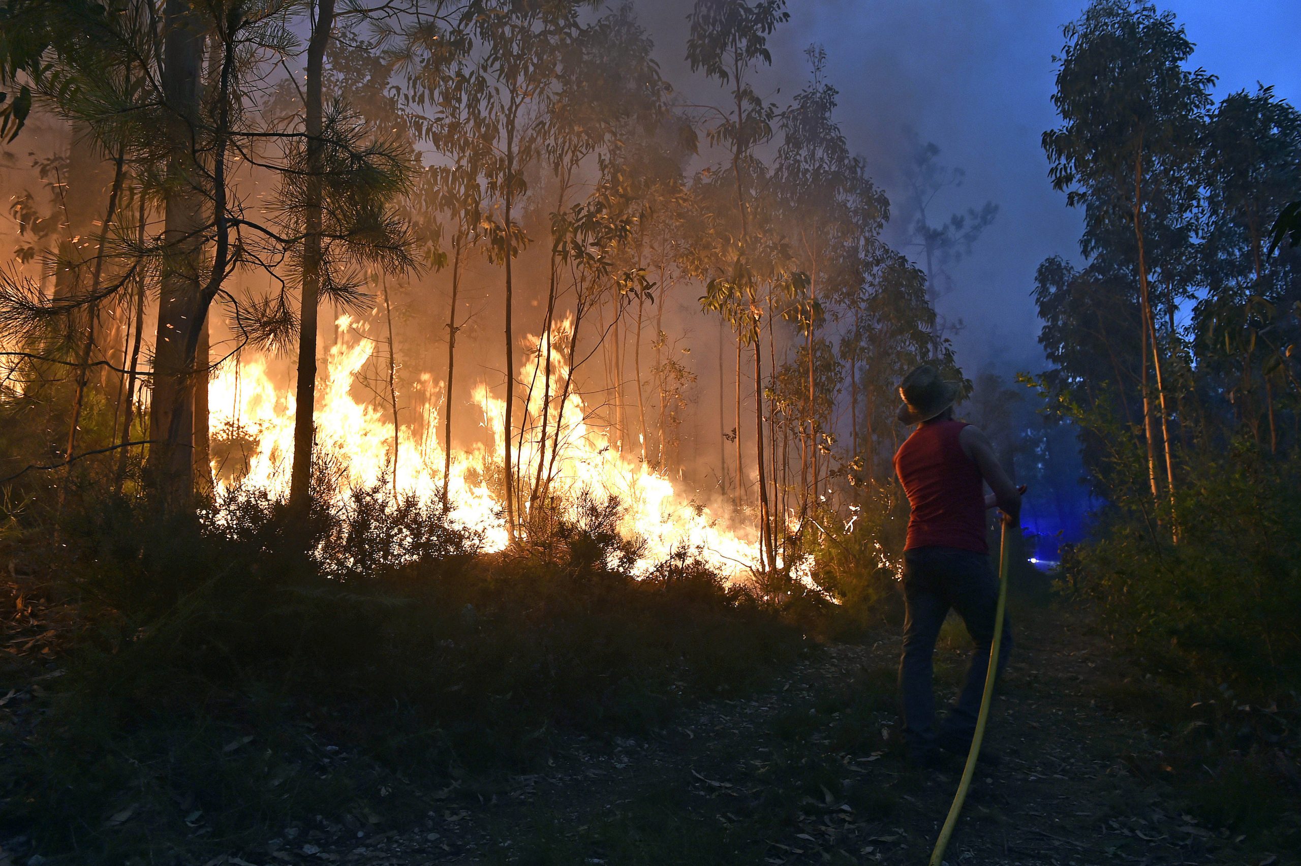 Incêndios: Força Aérea retomou missões dos ‘drones’