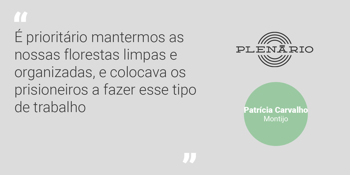 Patrícia Carvalho: “É prioritário mantermos as nossas florestas limpas e organizadas”