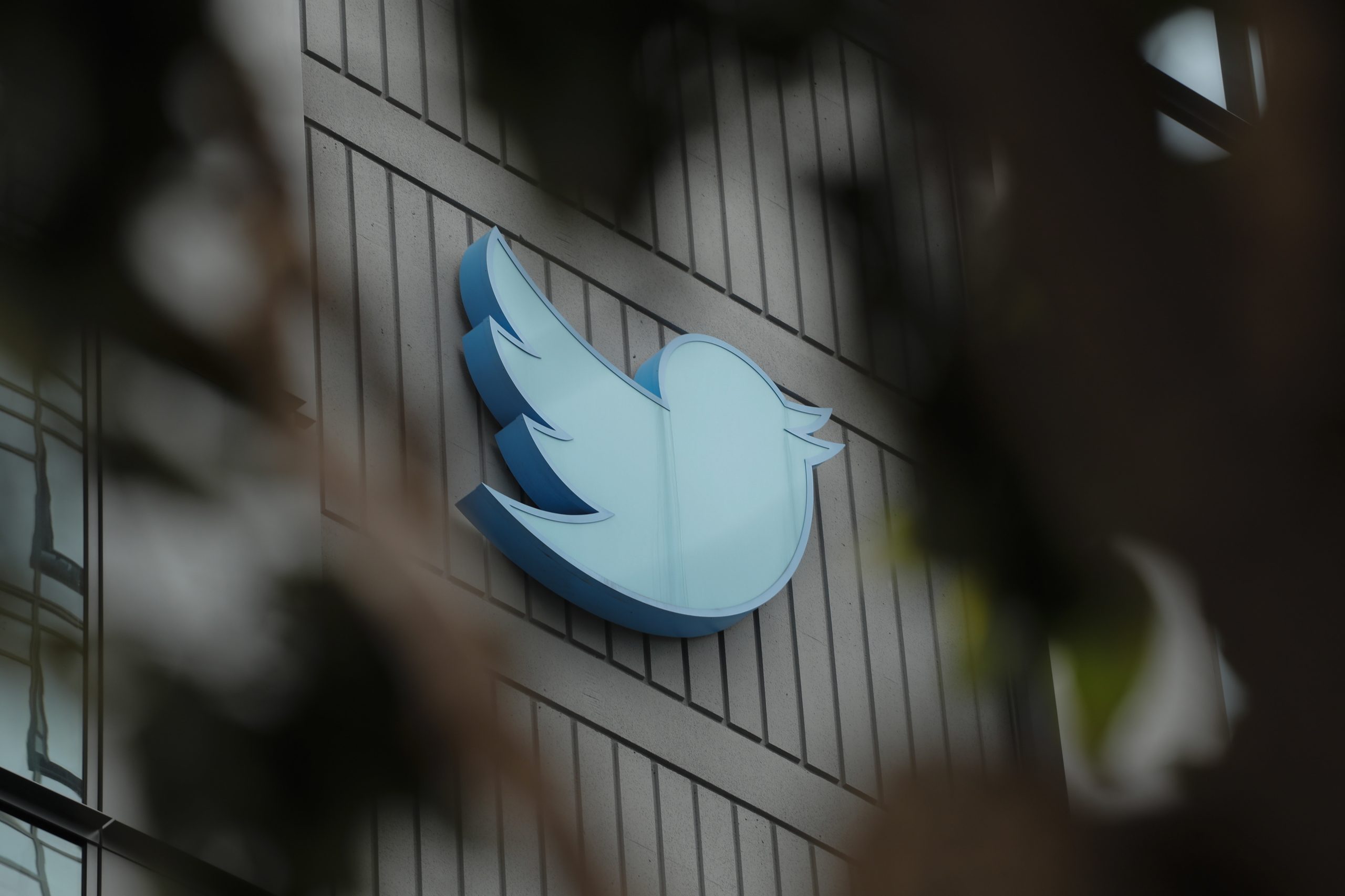 O regresso da rede social no Brasil depende deste requisito. X nomeia nova representante legal