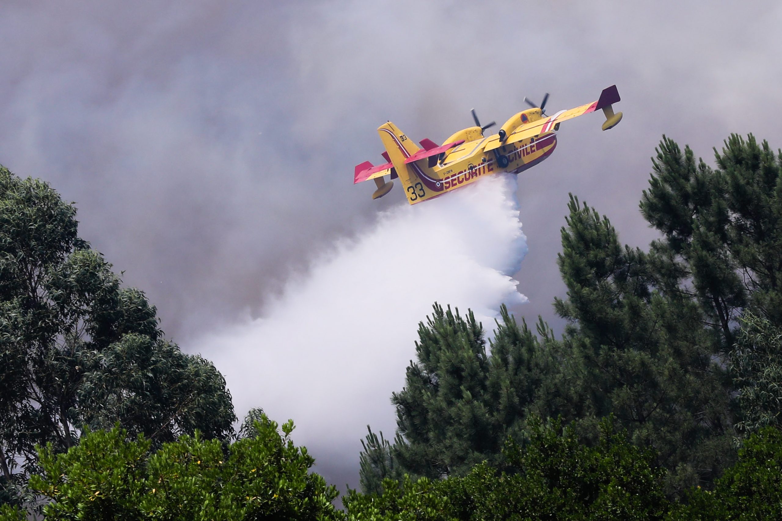 Mais de 50 concelhos de oito distritos em perigo máximo de incêndio
