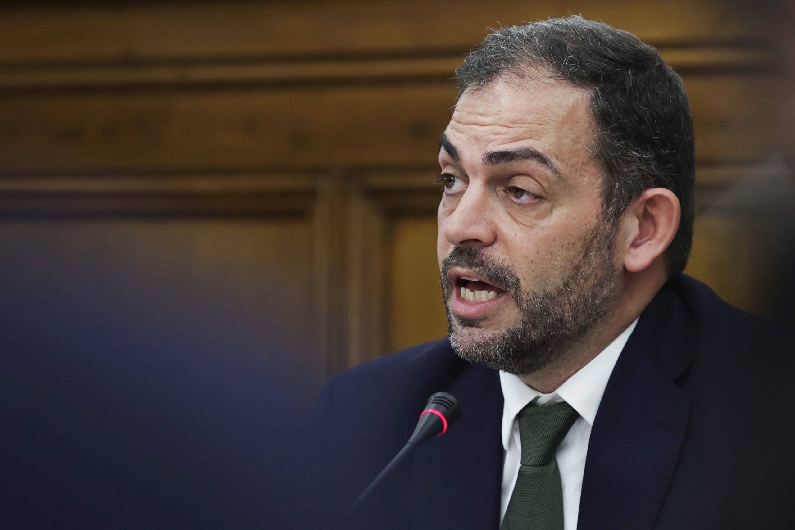 Governo apoia clarificação da lei sobre criminalização de maus-tratos a animais
